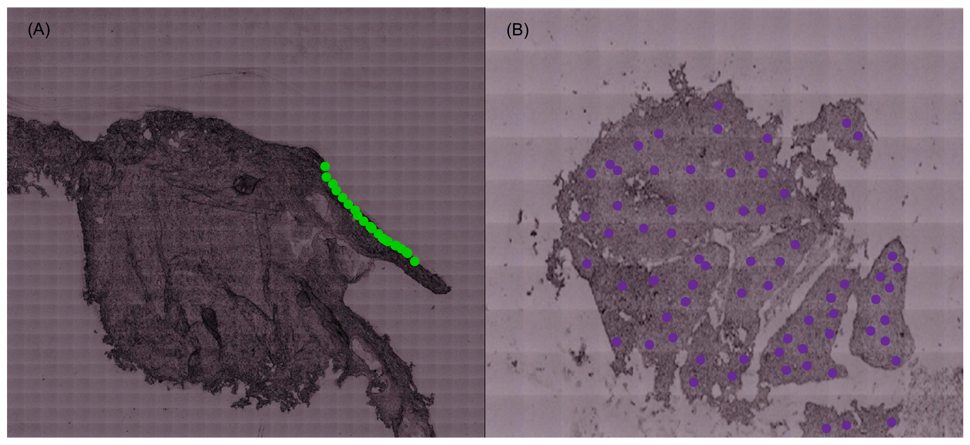 Molecules 29 00922 g004