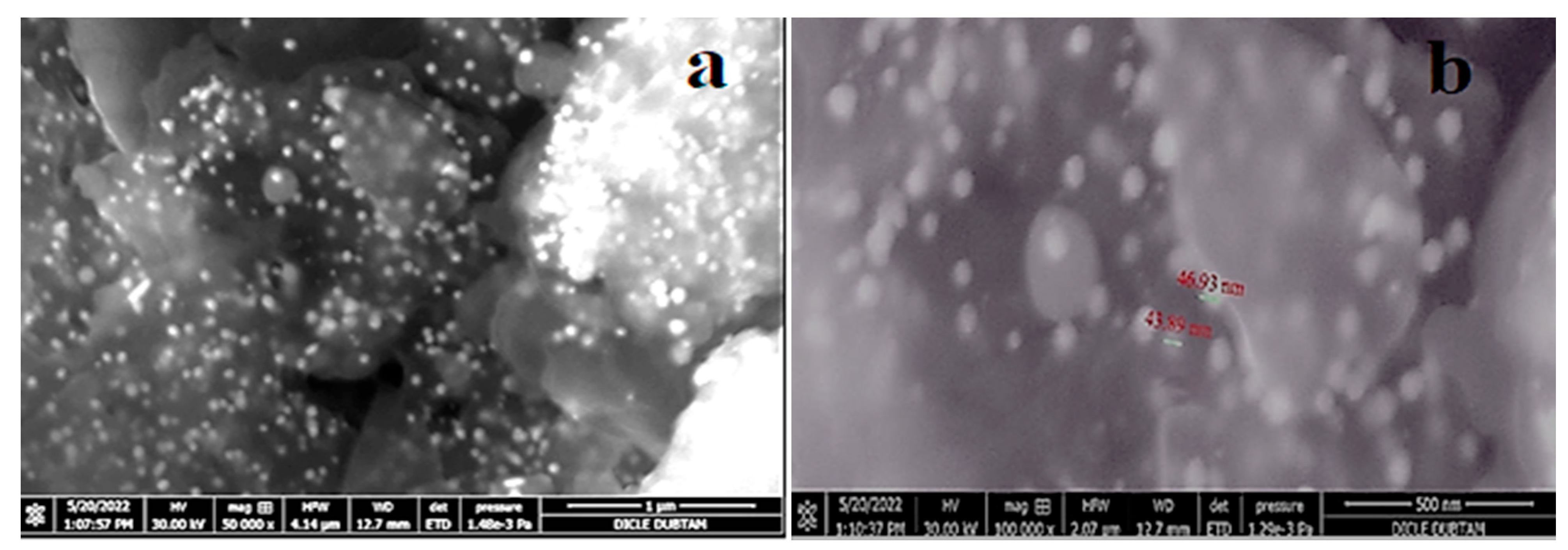 Molecules 29 00923 g006