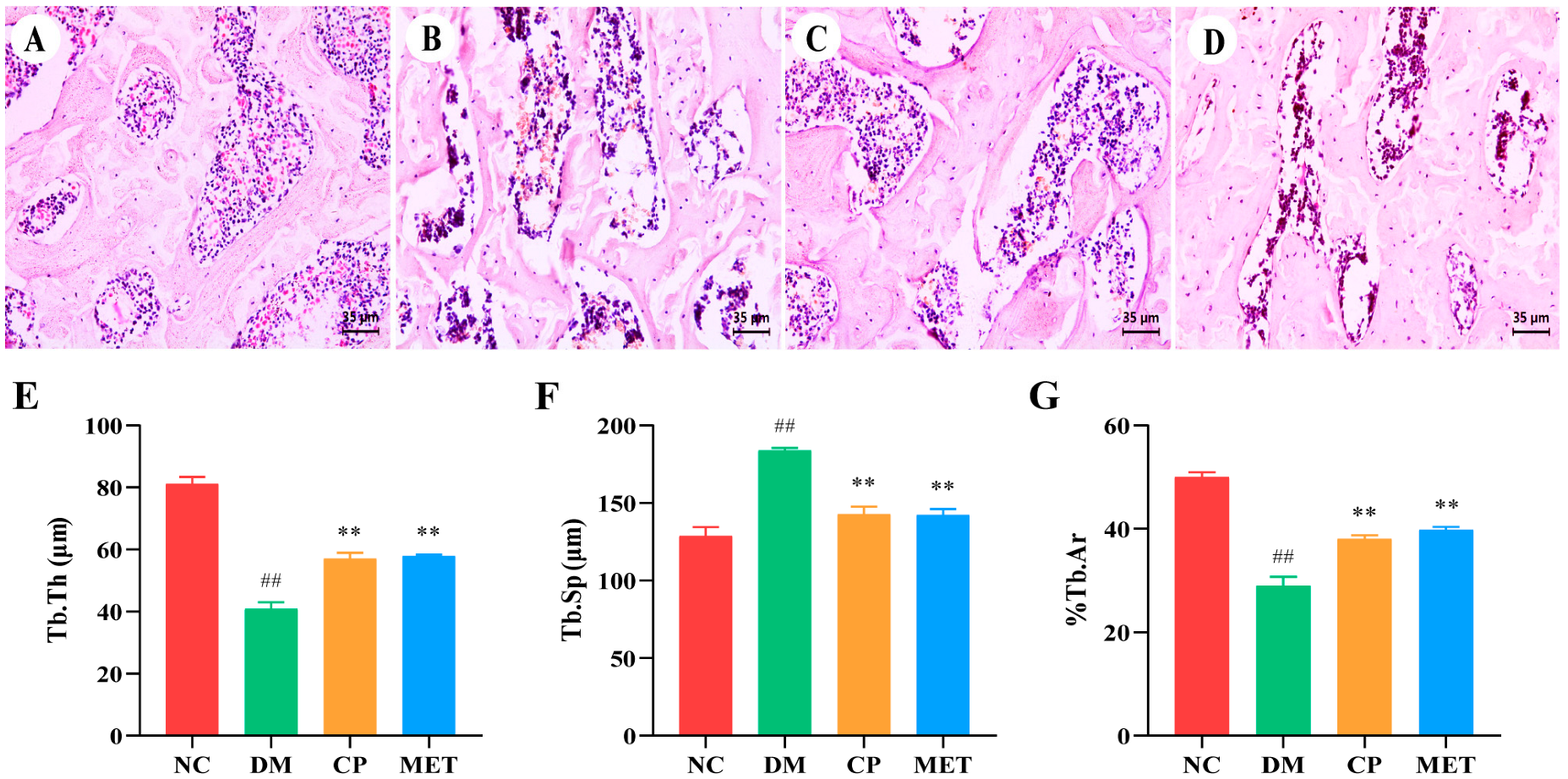 Molecules 29 00924 g004