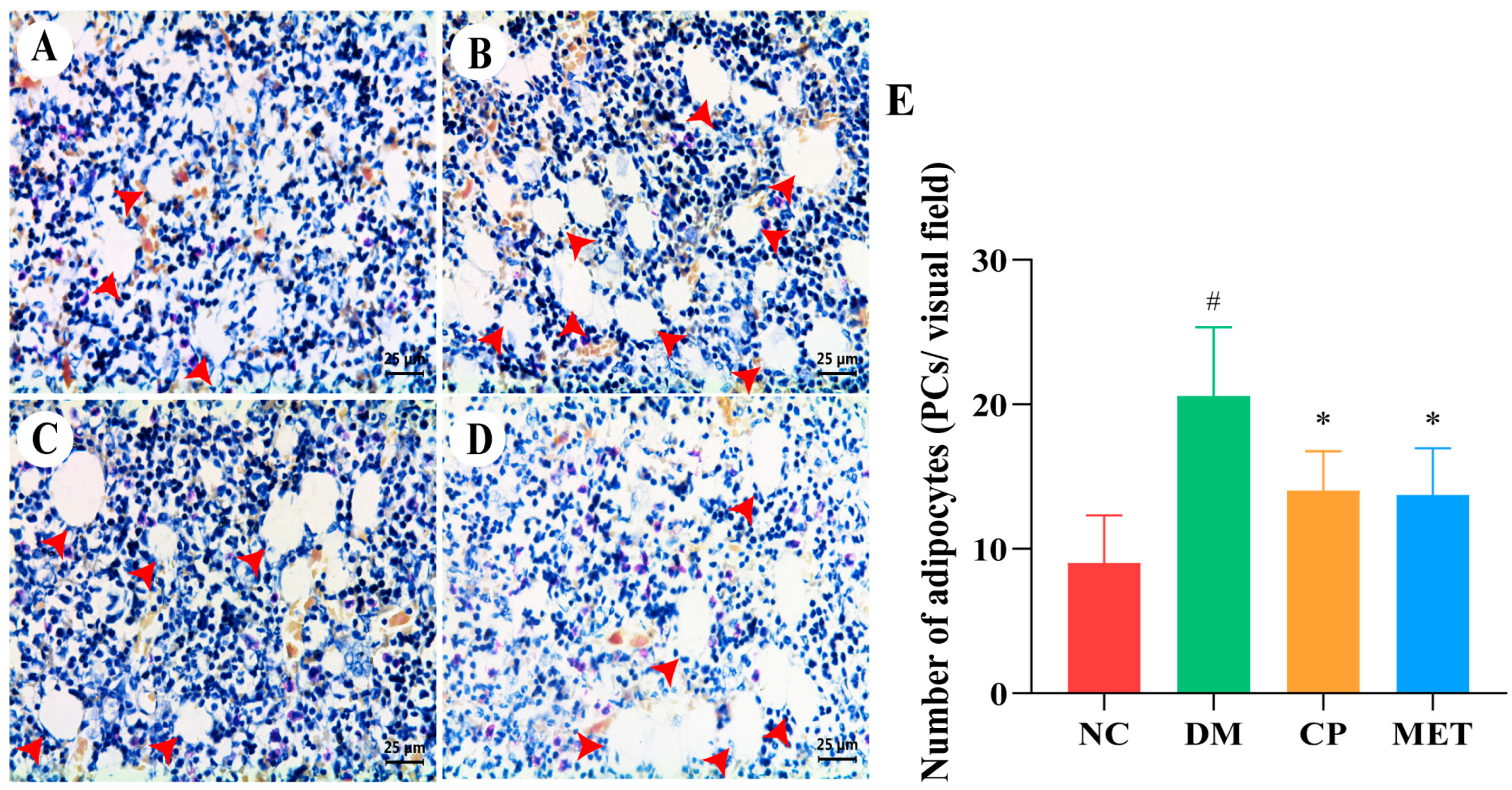 Molecules 29 00924 g007