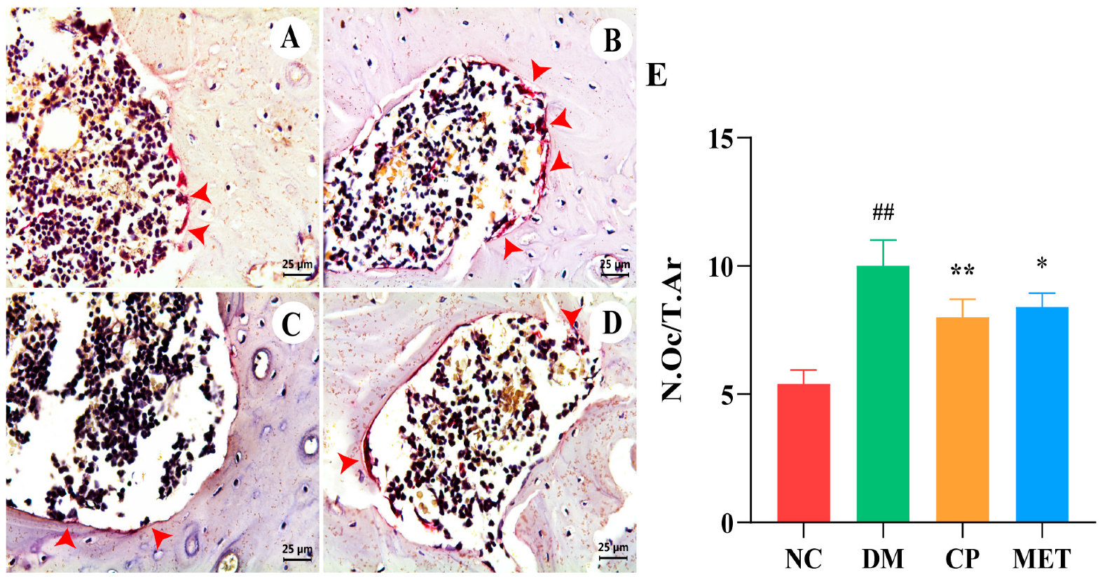 Molecules 29 00924 g008