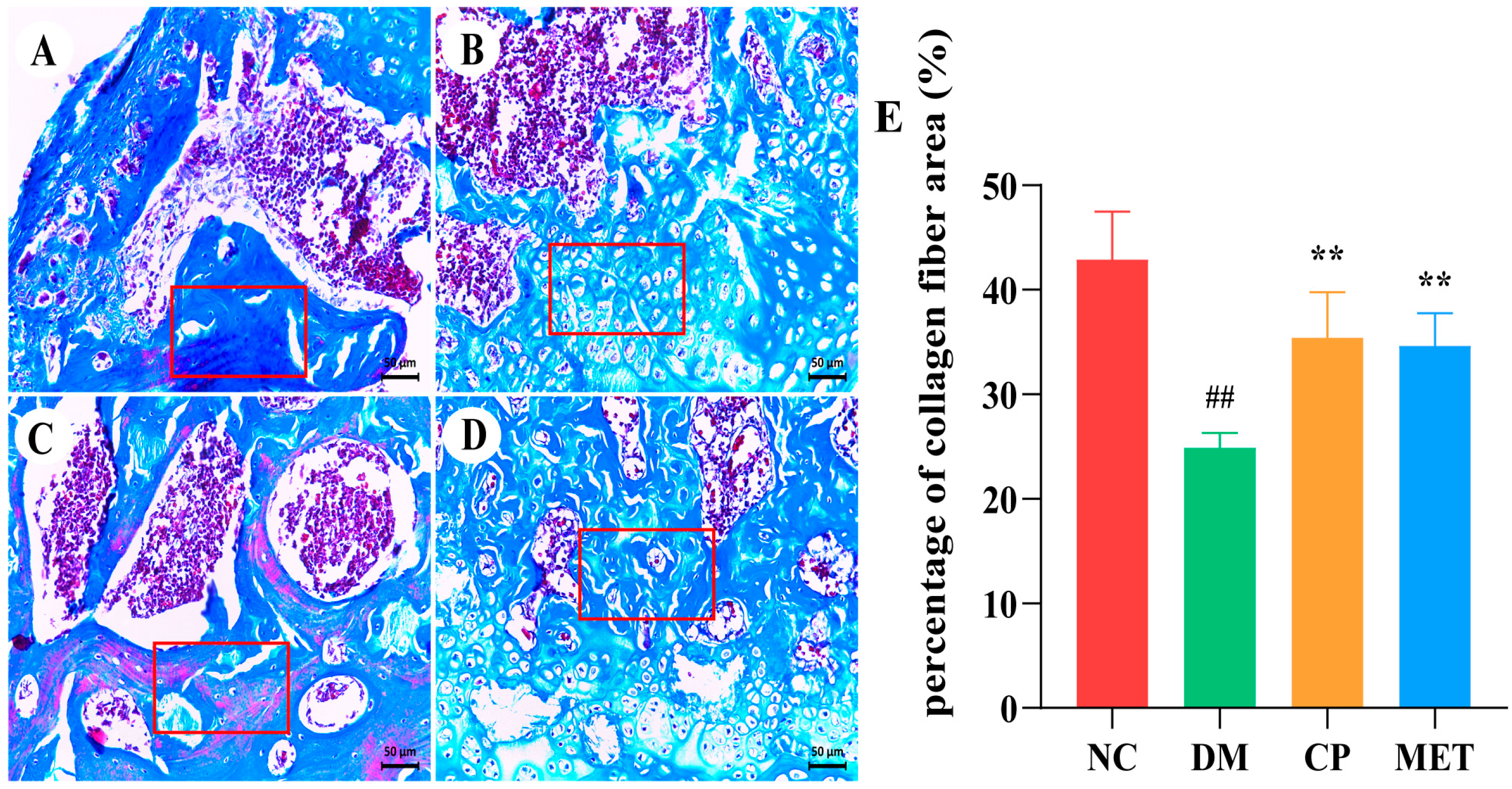 Molecules 29 00924 g010