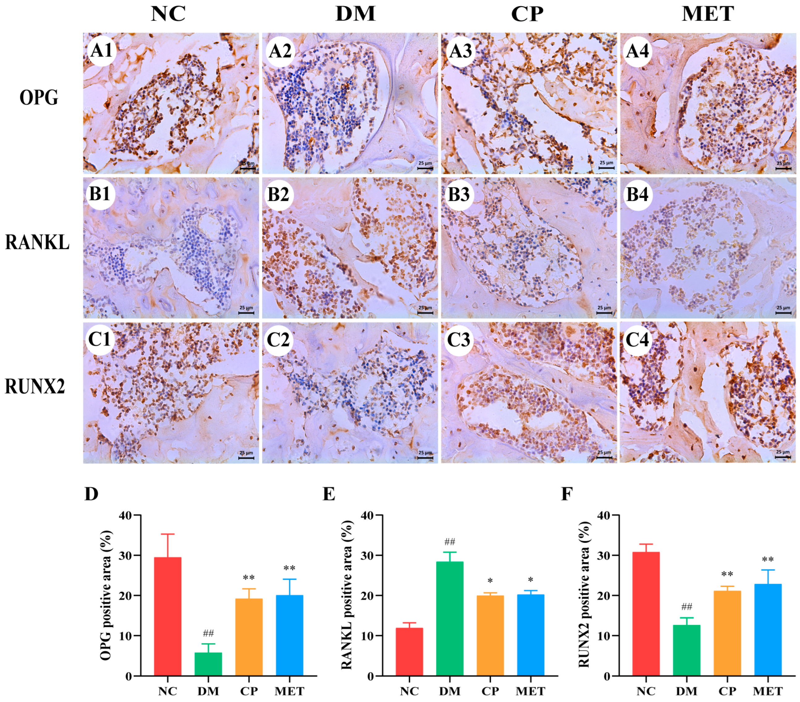 Molecules 29 00924 g011