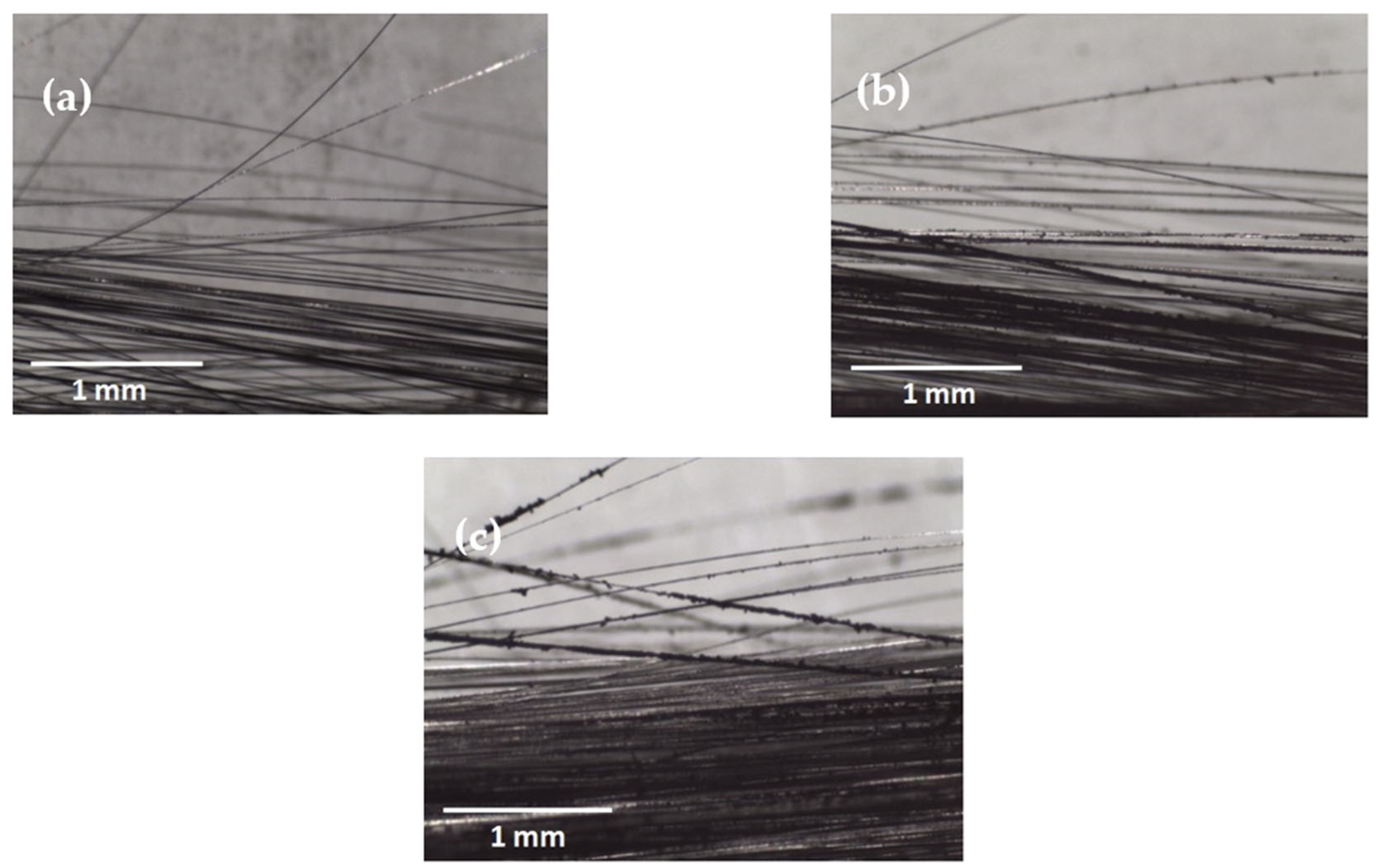 Molecules 29 00928 g001