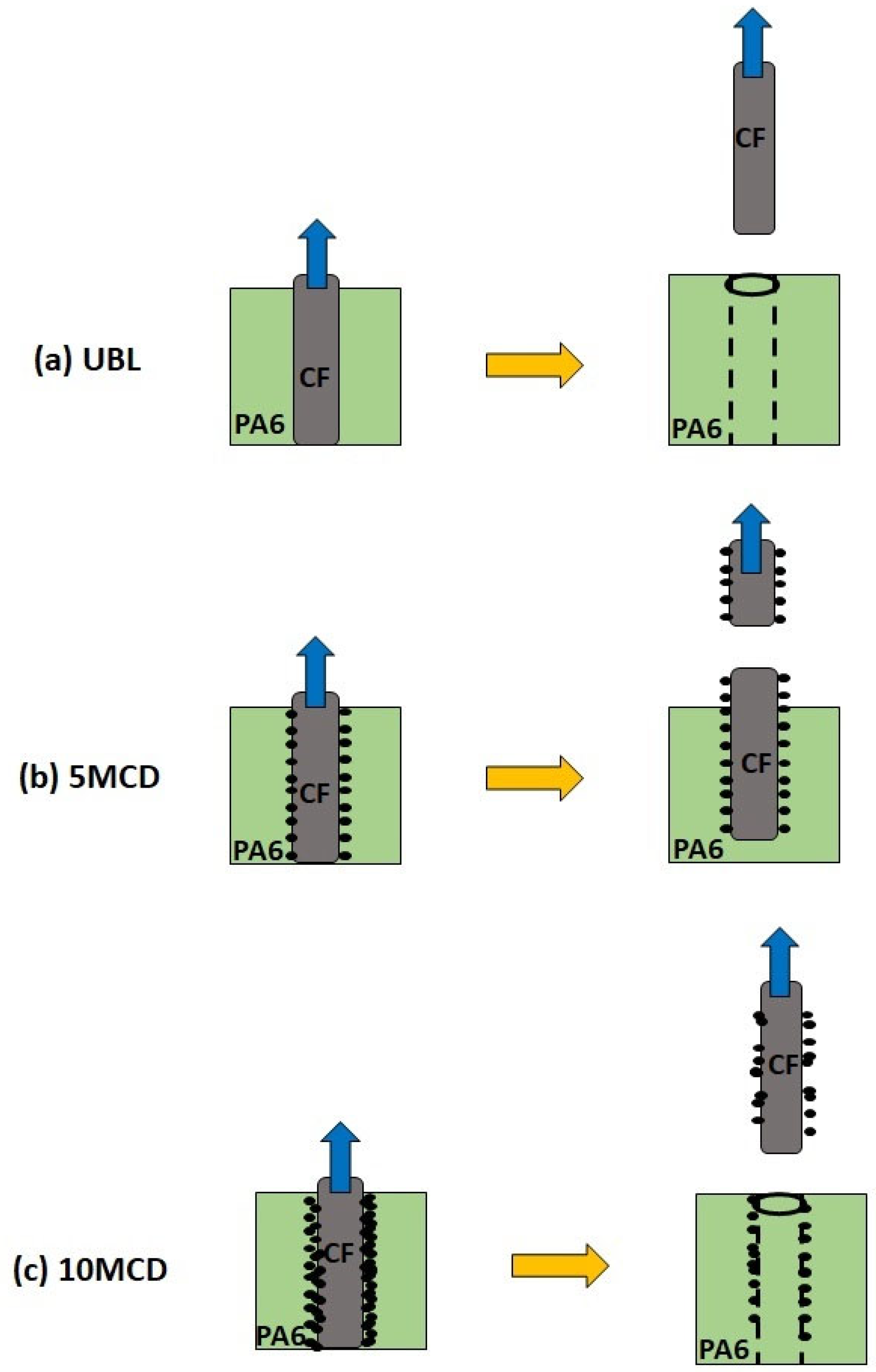 Molecules 29 00928 g003