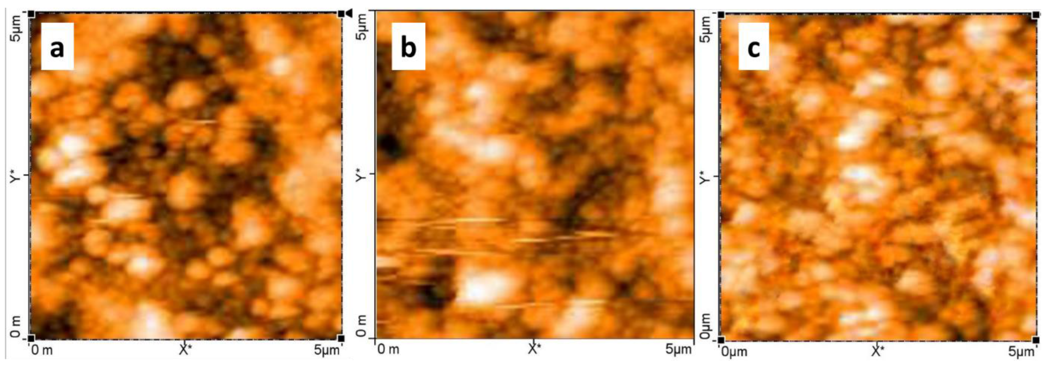 Molecules 29 00931 g005