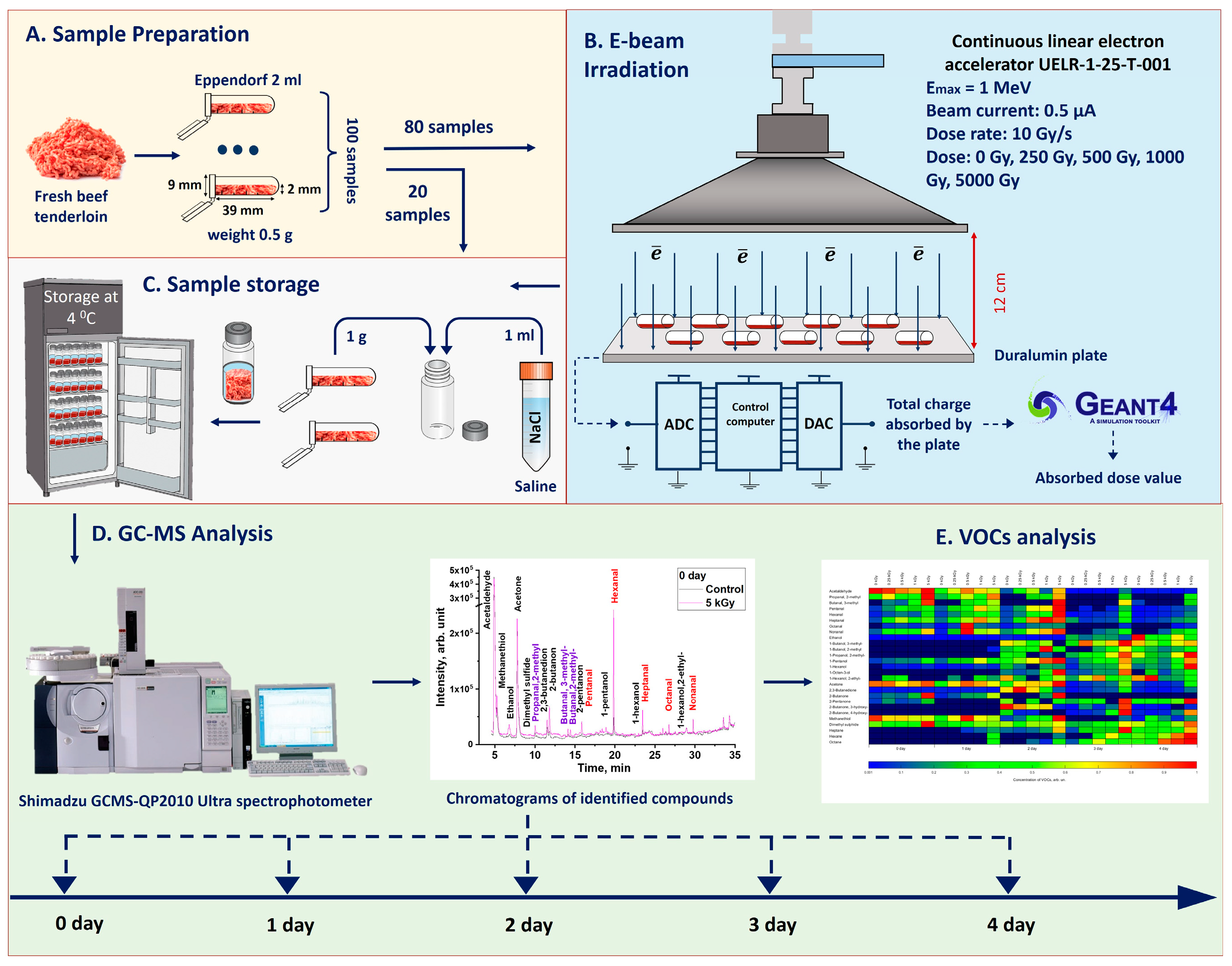 Molecules 29 00940 g001