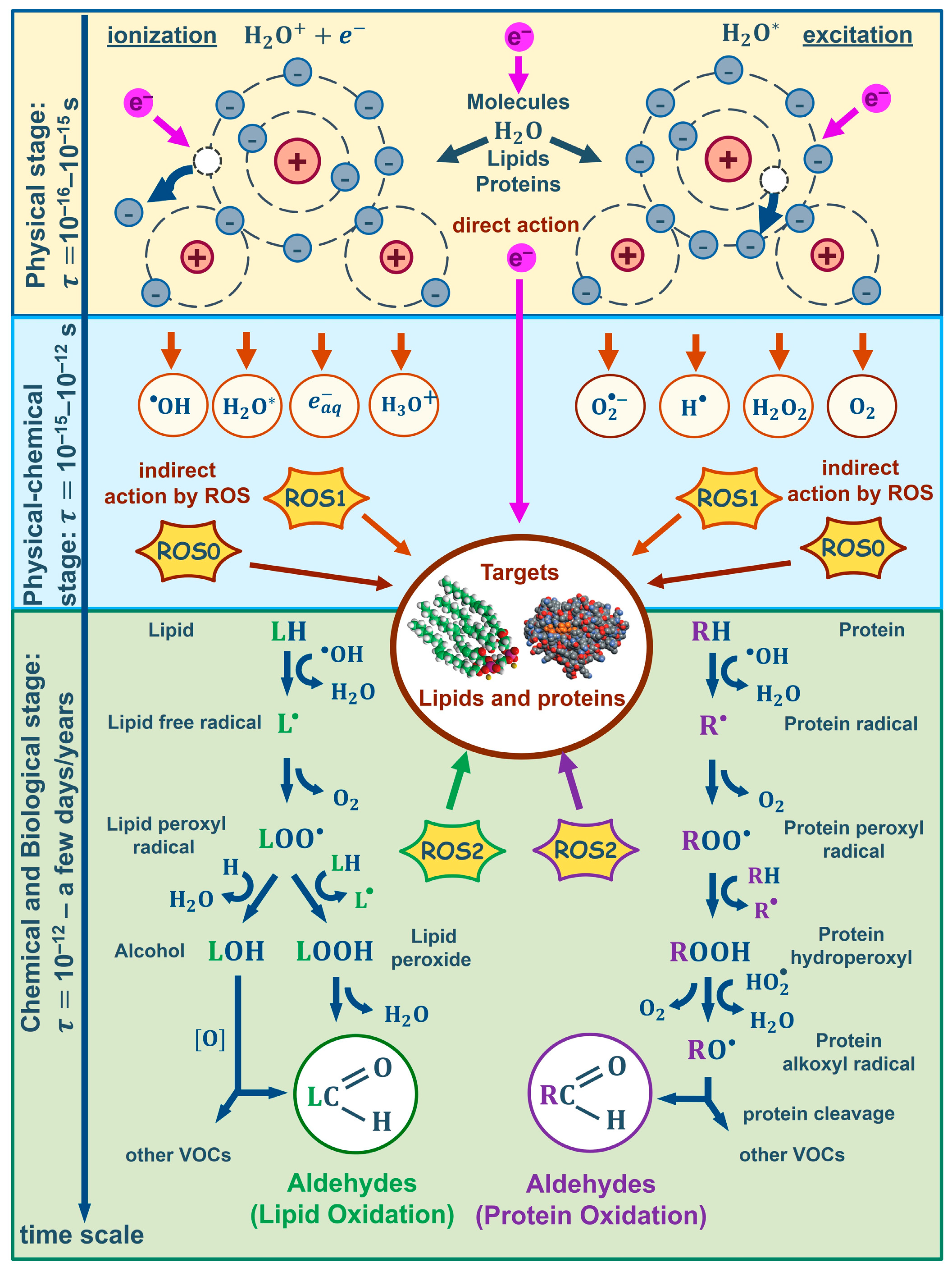 Molecules 29 00940 g007