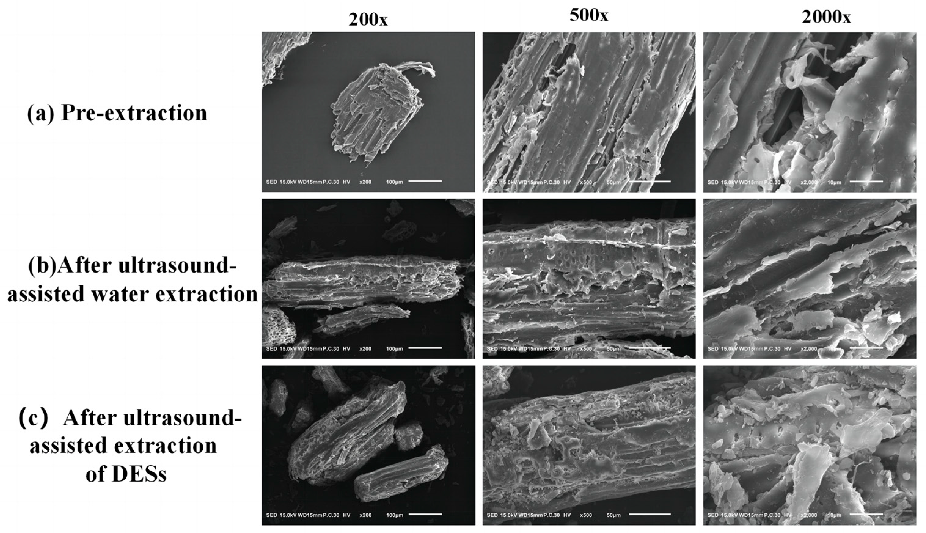 Molecules 29 00942 g008