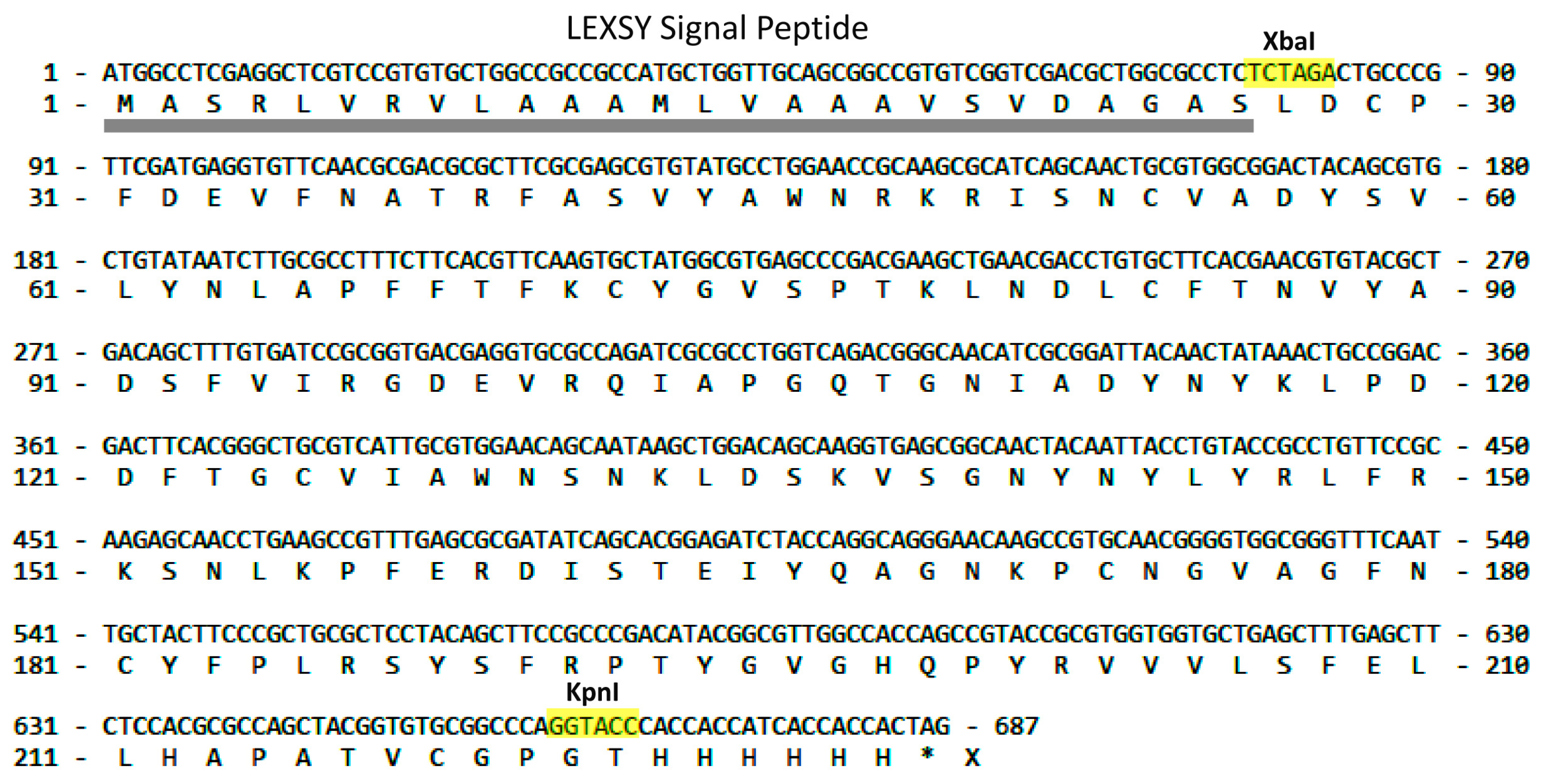 Molecules 29 00943 g001 Molecules 29 00943 g001