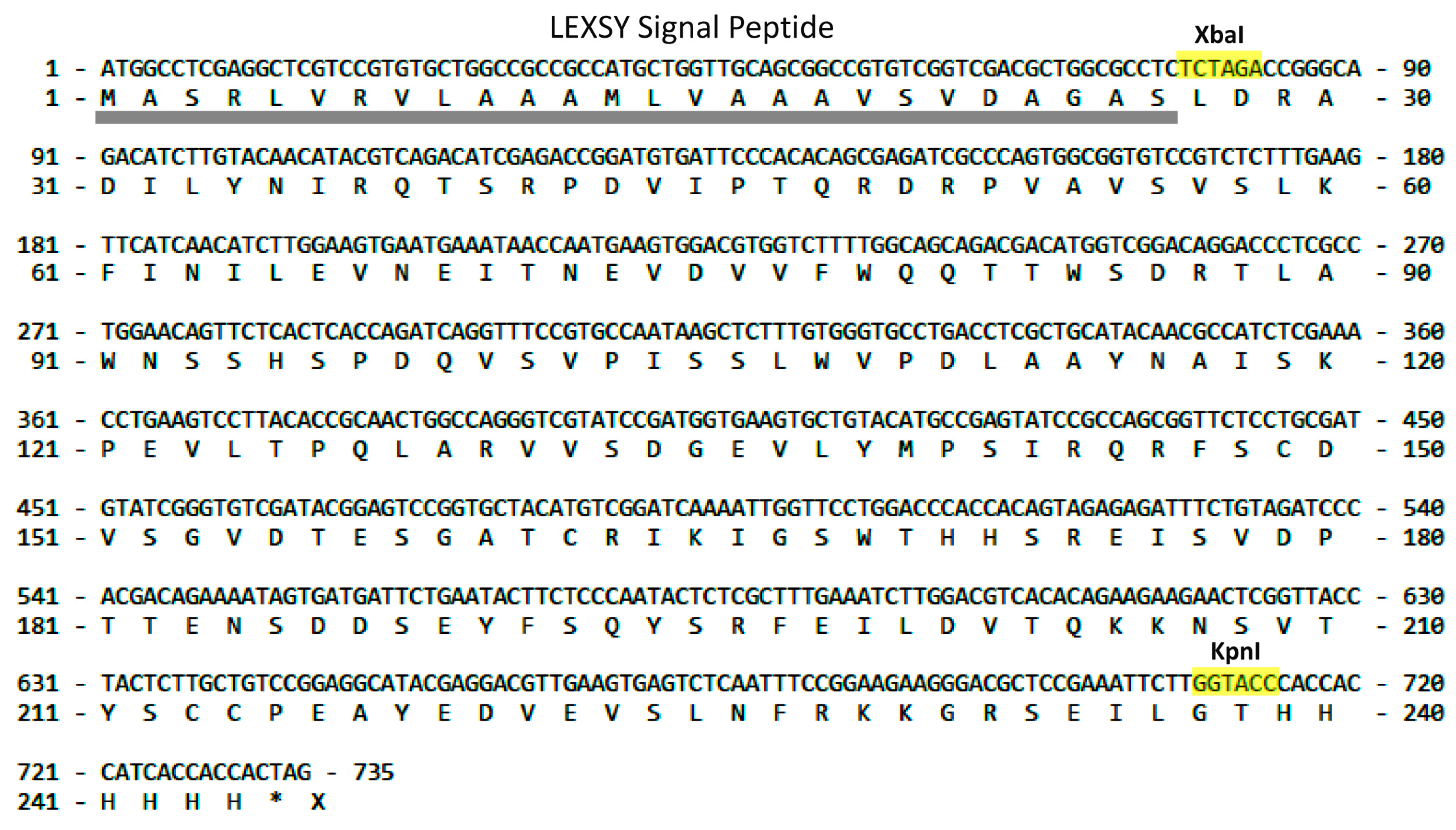 Molecules 29 00943 g002 Molecules 29 00943 g002