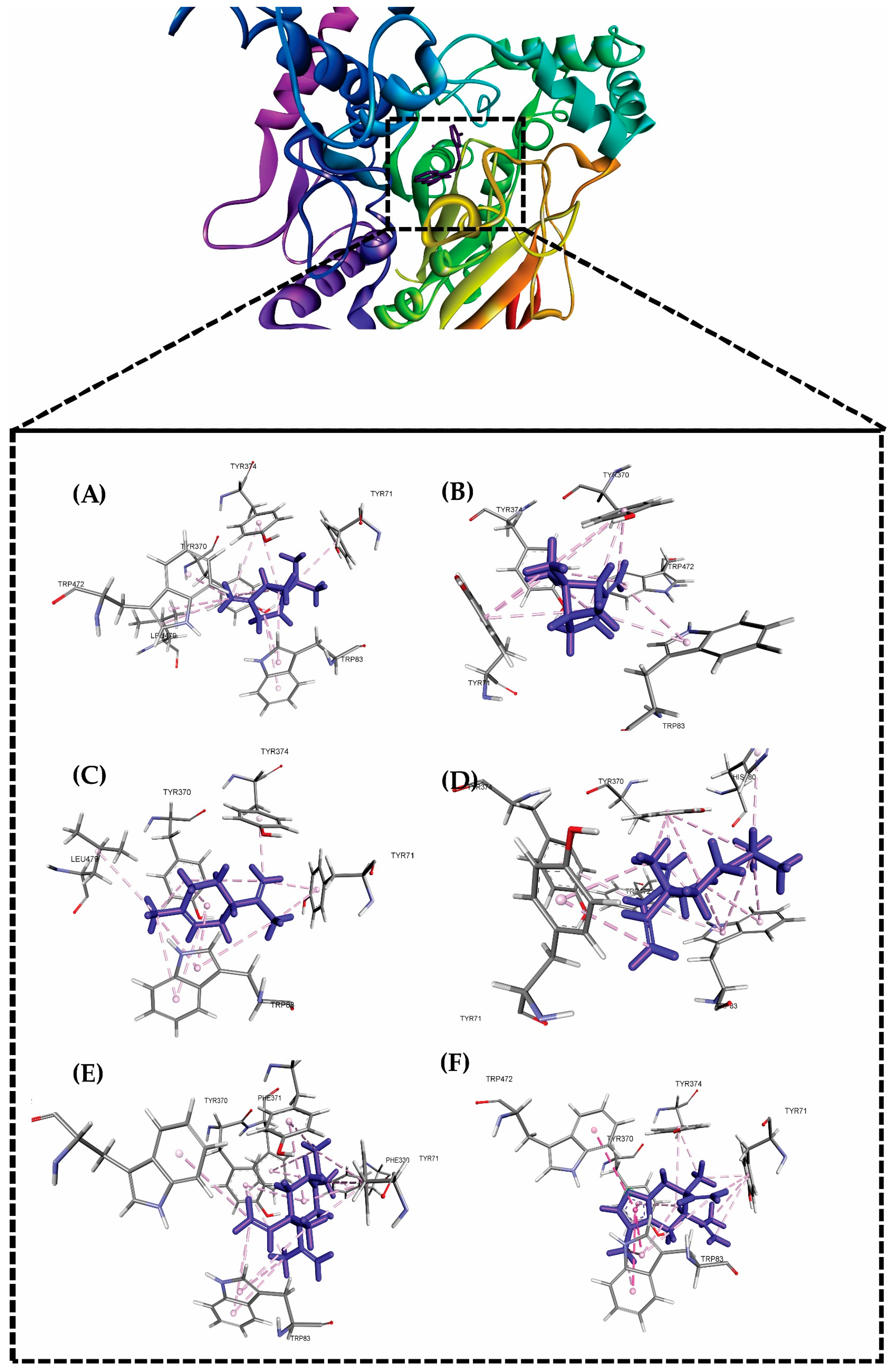 Molecules 29 00947 g003 Molecules 29 00947 g003