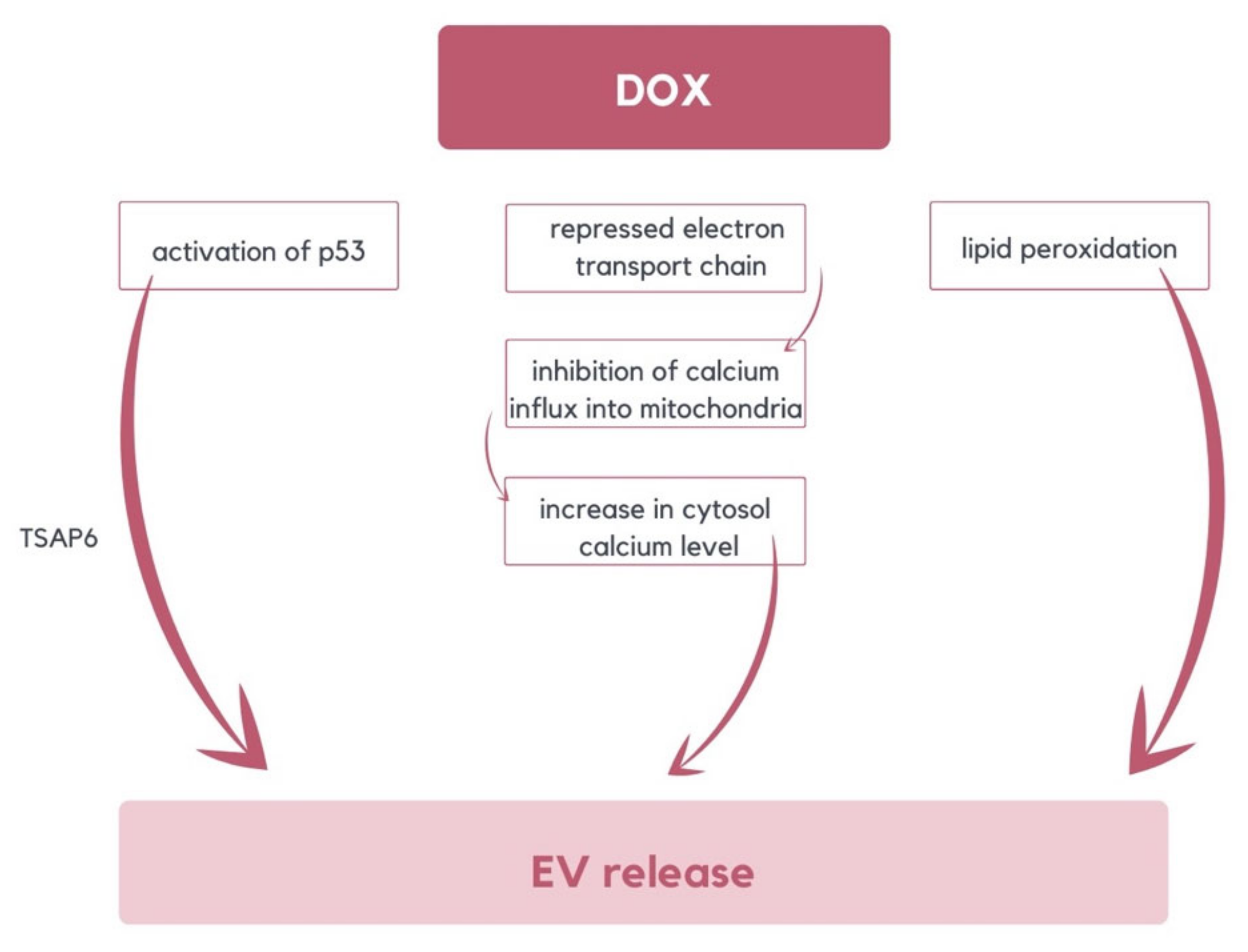 Molecules 29 00948 g003