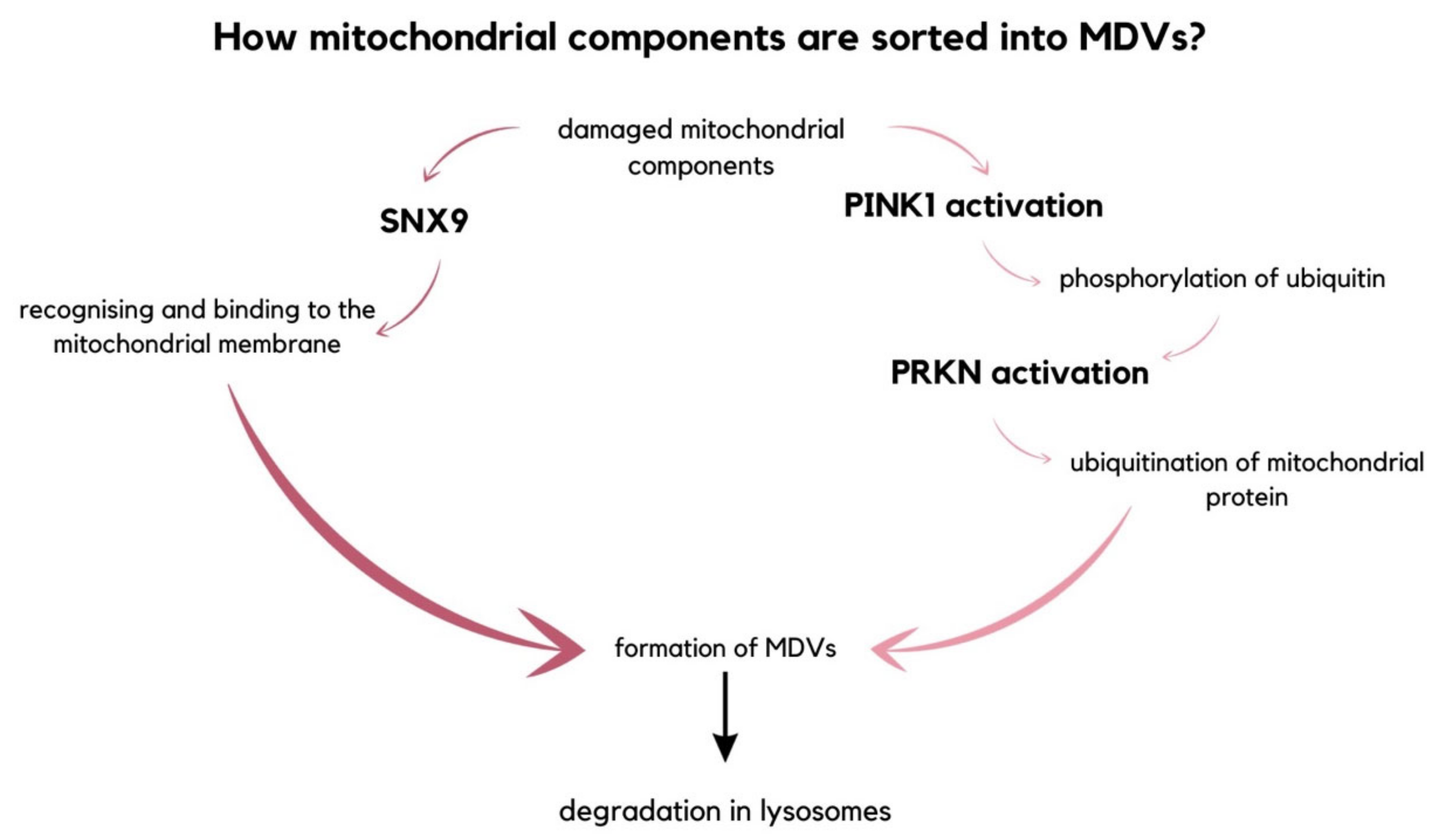 Molecules 29 00948 g007