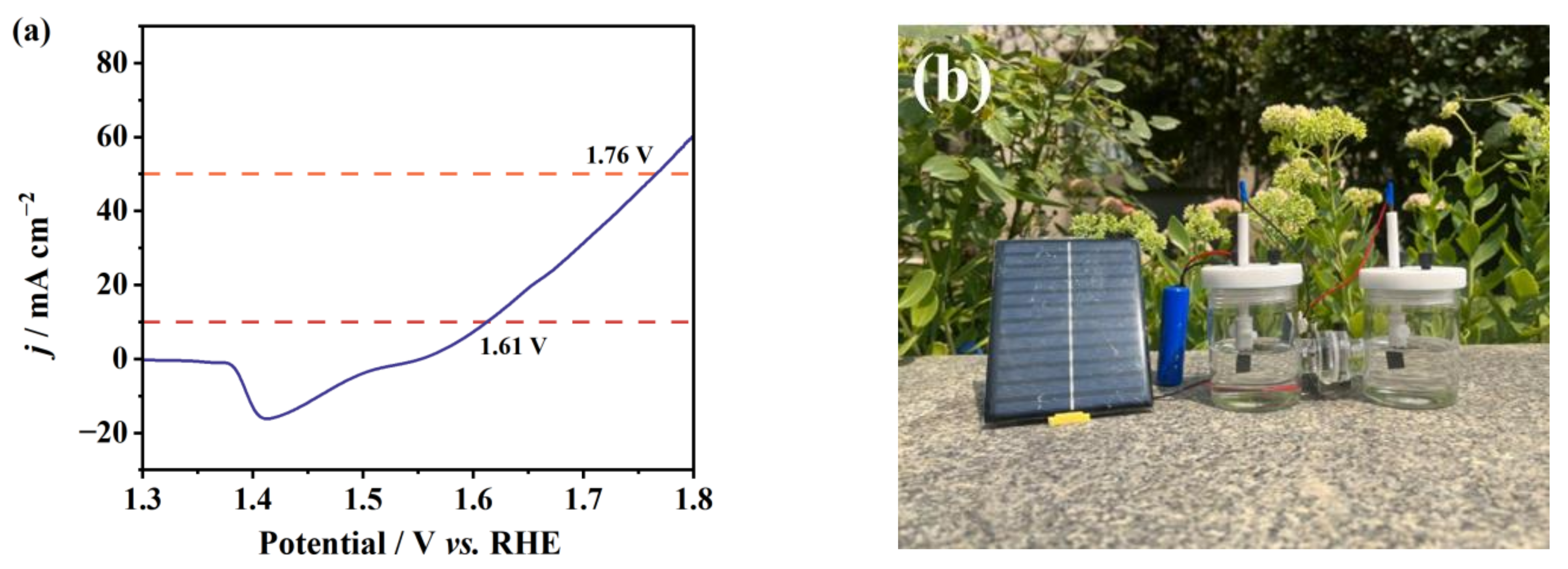 Molecules 29 00951 g007