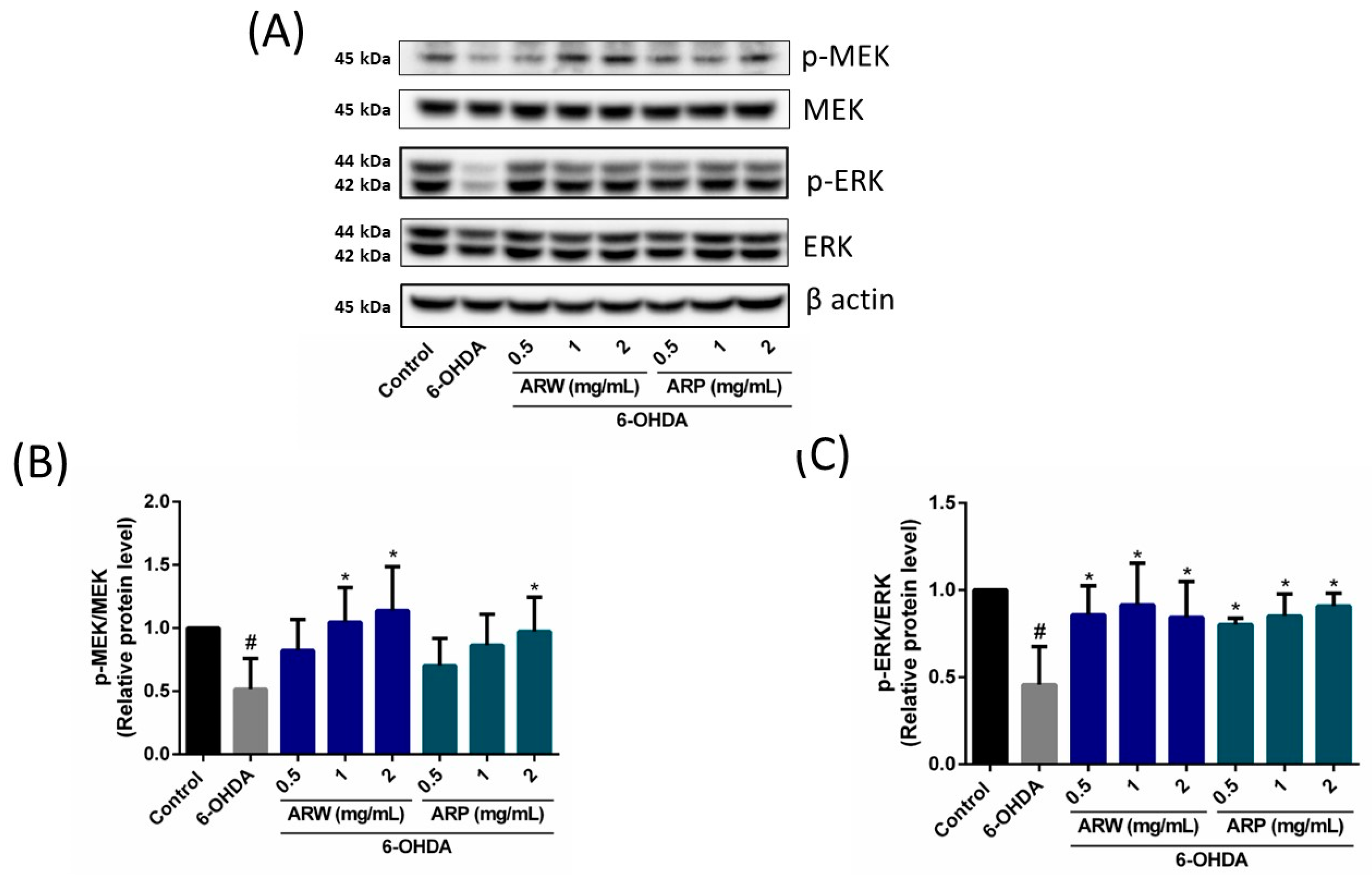 Molecules 29 00953 g006