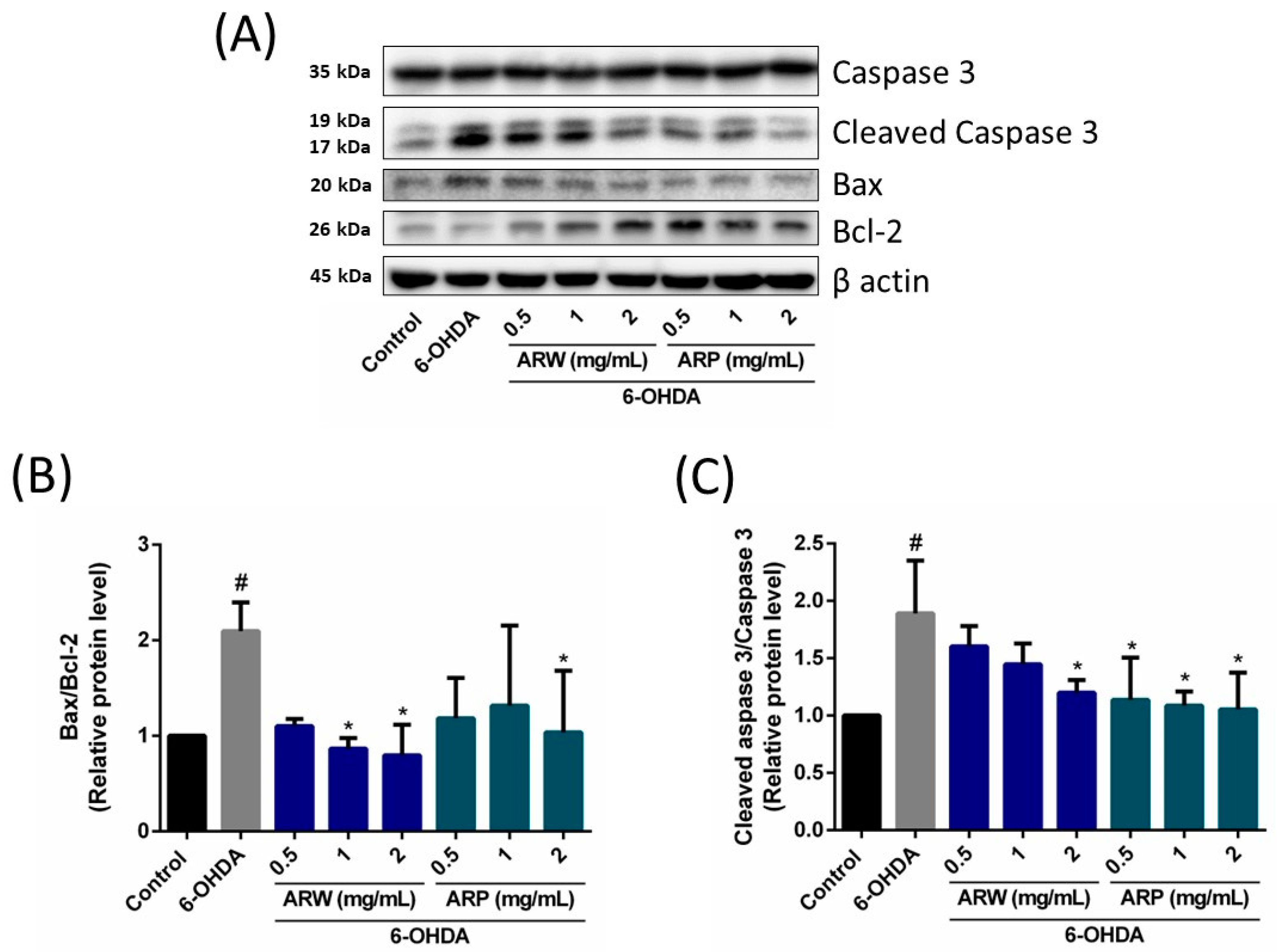 Molecules 29 00953 g007
