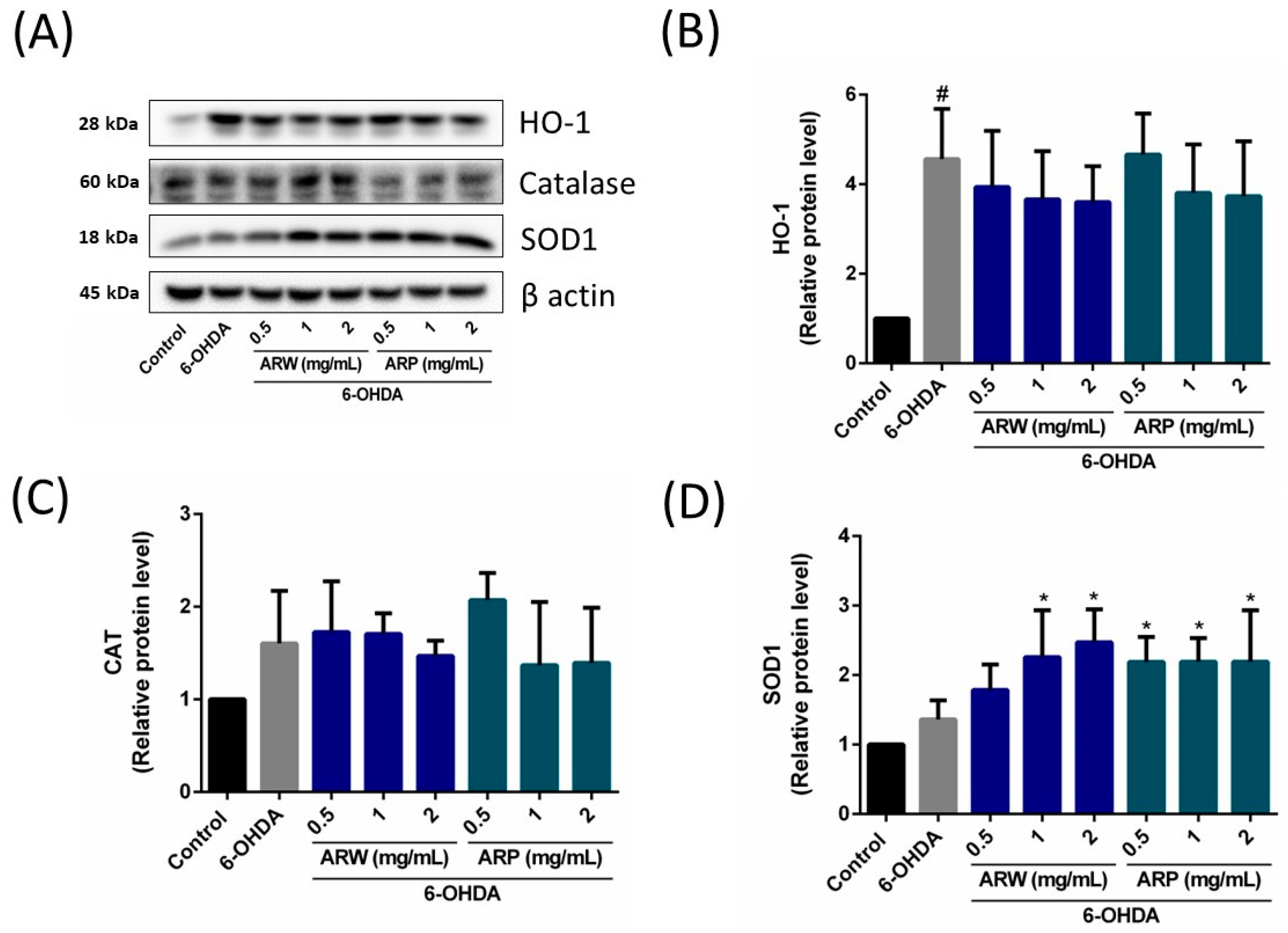Molecules 29 00953 g008