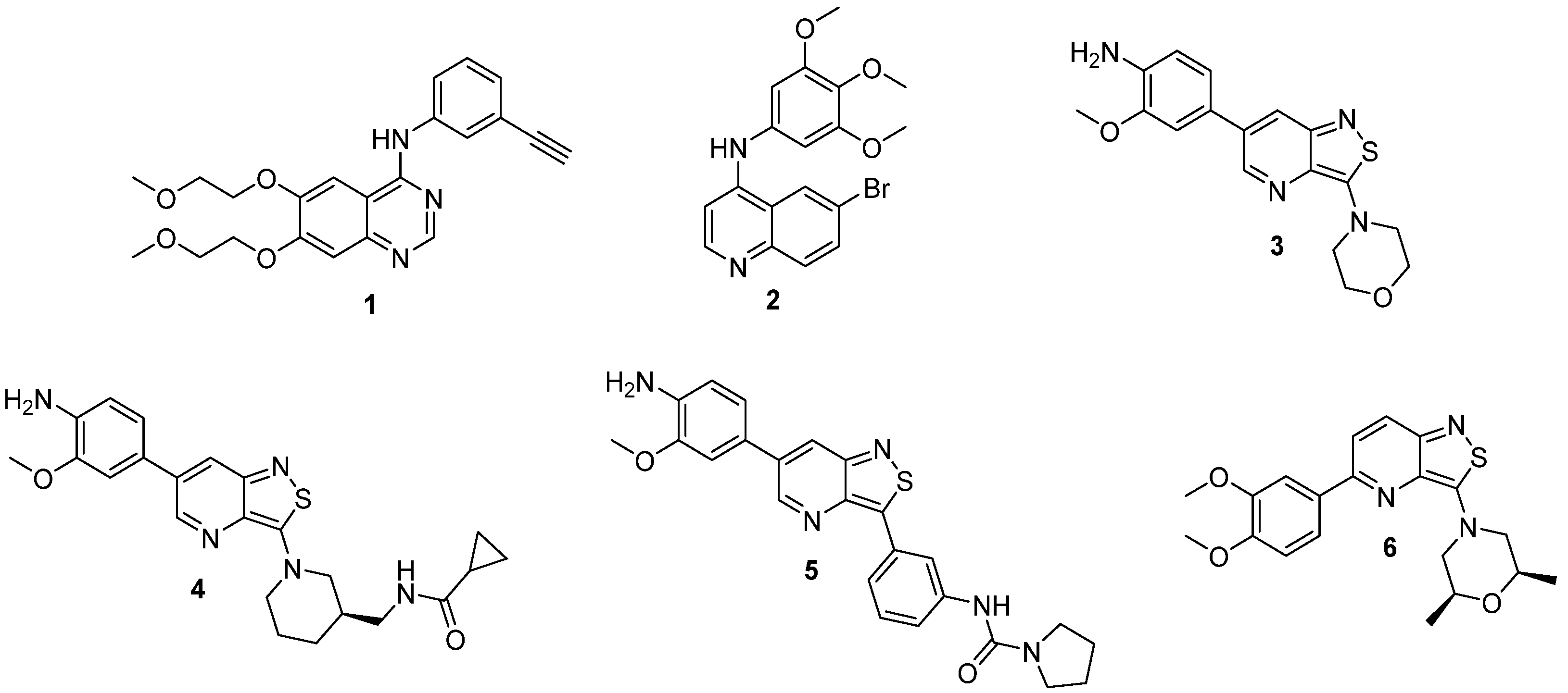 Molecules 29 00954 g001