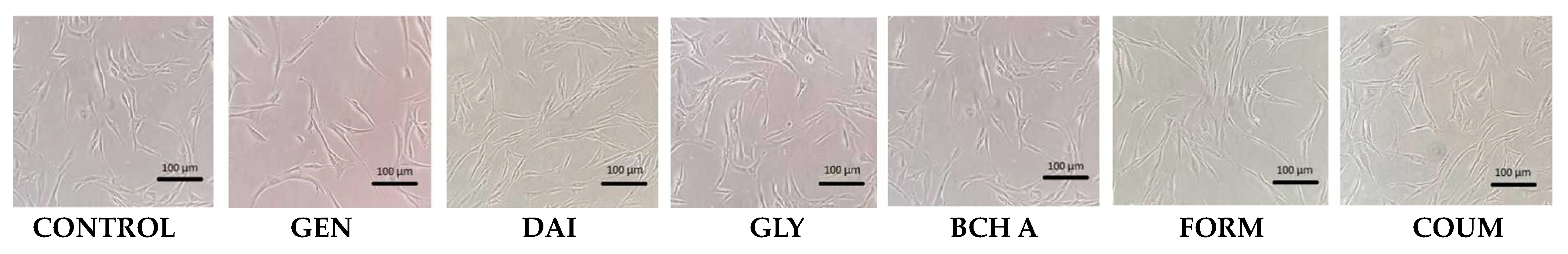Molecules 29 00955 g003b