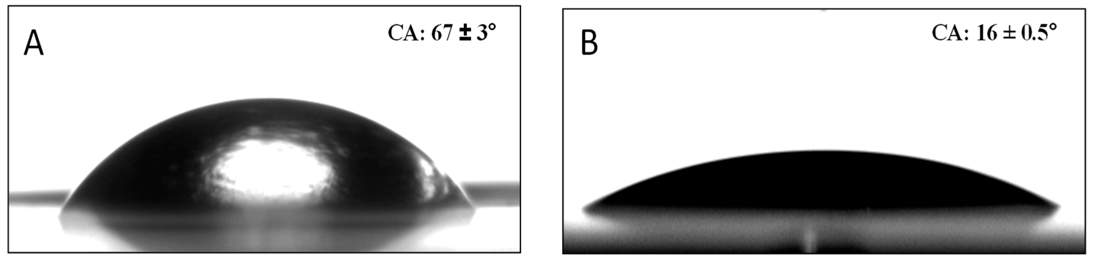 Molecules 29 00958 g003