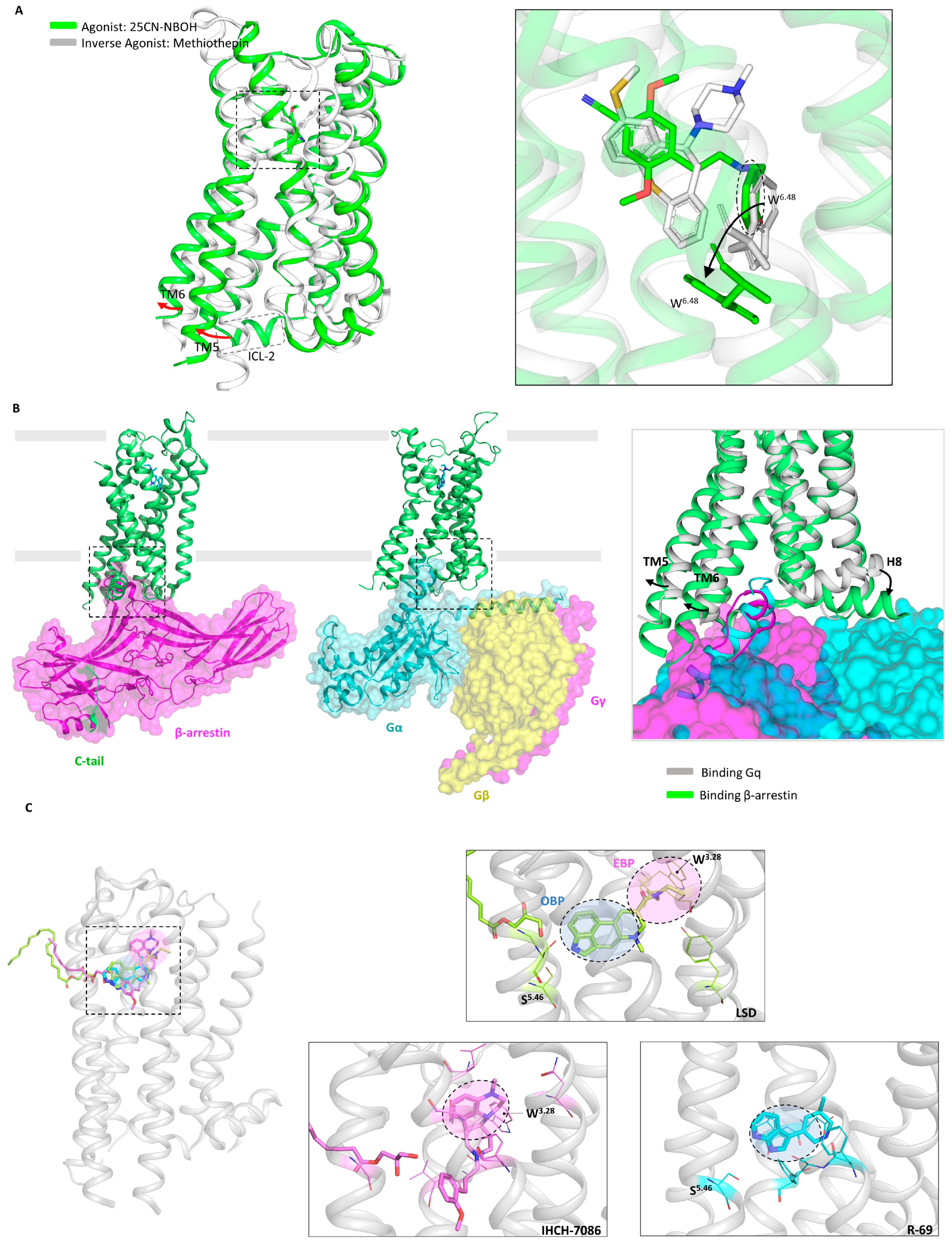 Molecules 29 00964 g003 Molecules 29 00964 g003