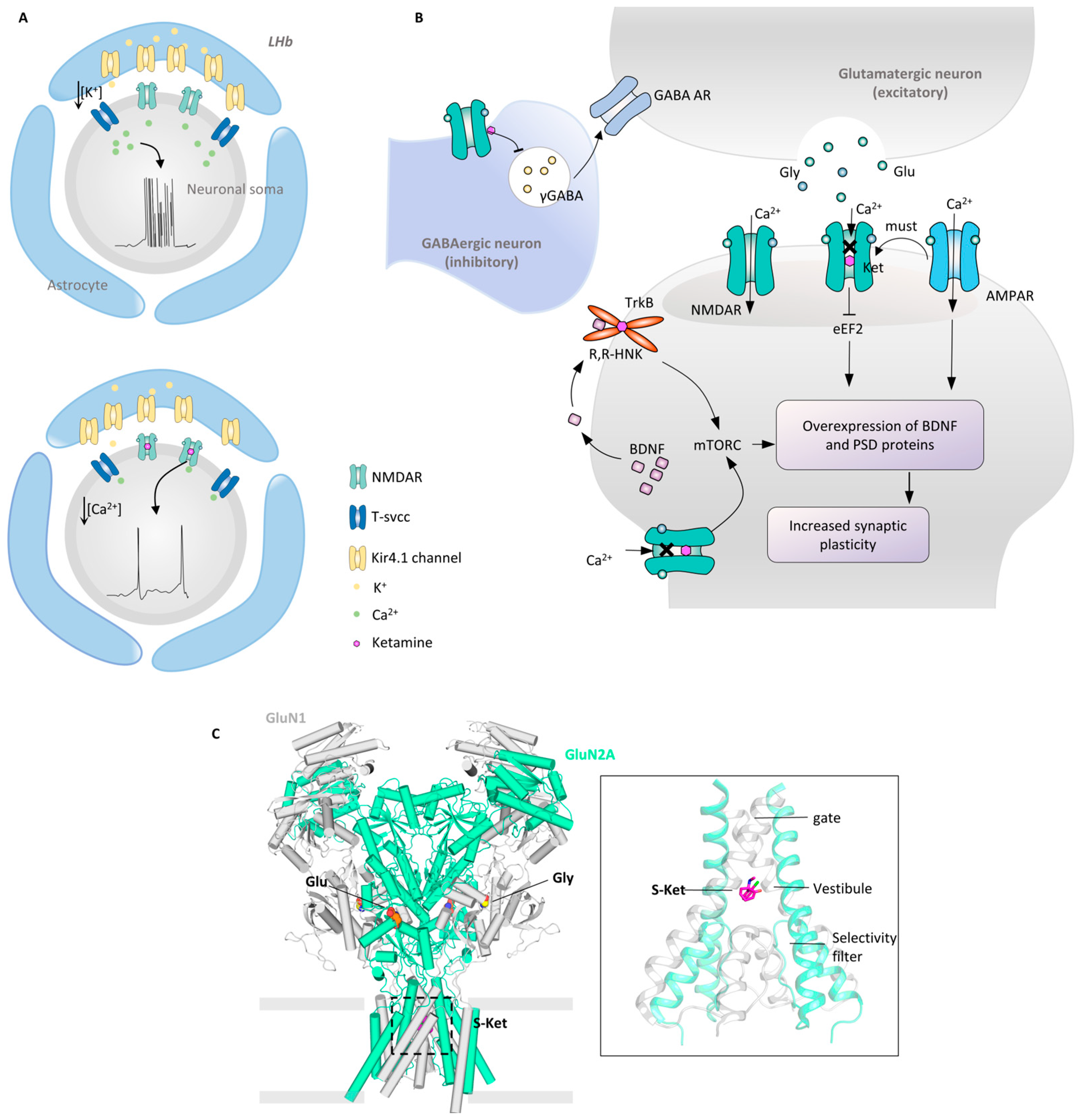Molecules 29 00964 g005 Molecules 29 00964 g005