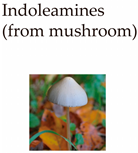 Molecules 29 00964 i003 Molecules 29 00964 i003