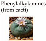 Molecules 29 00964 i005 Molecules 29 00964 i005