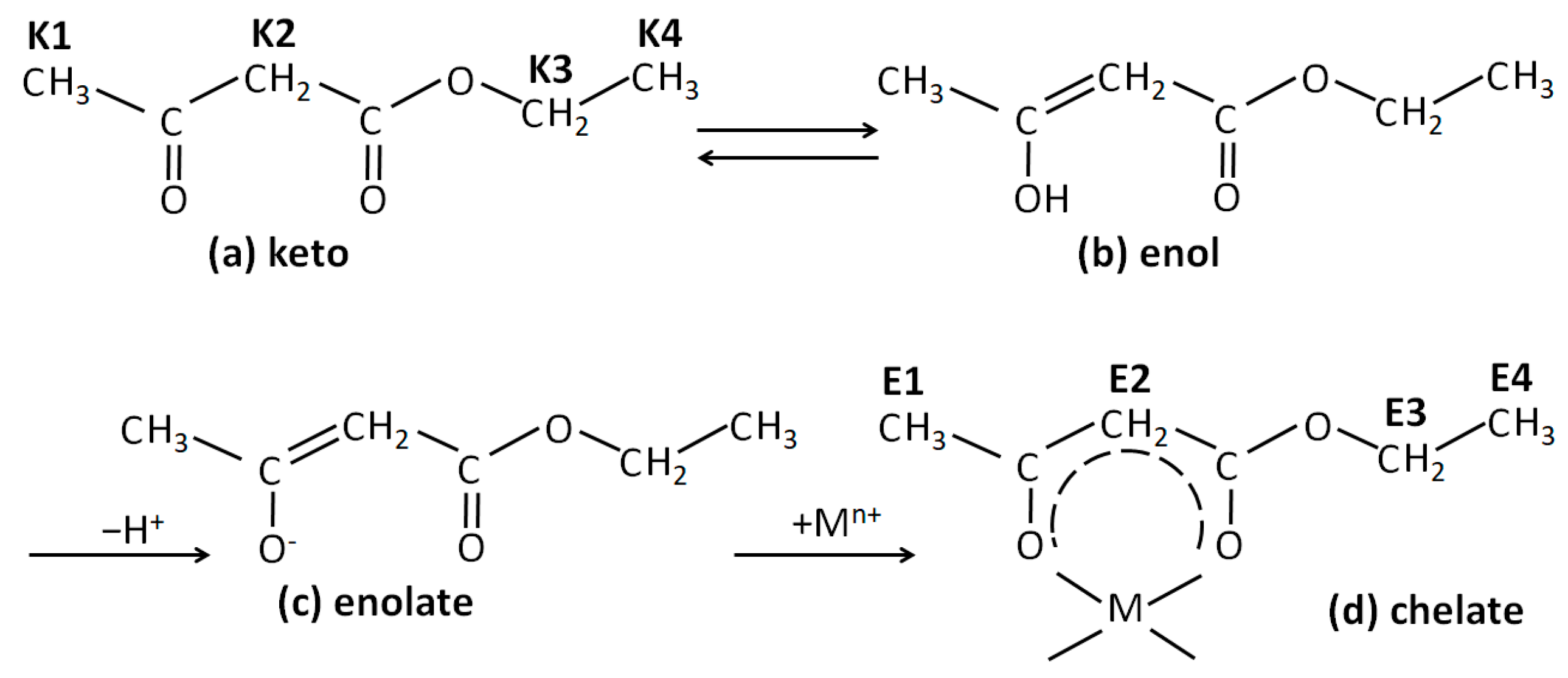 Molecules 29 00965 g002