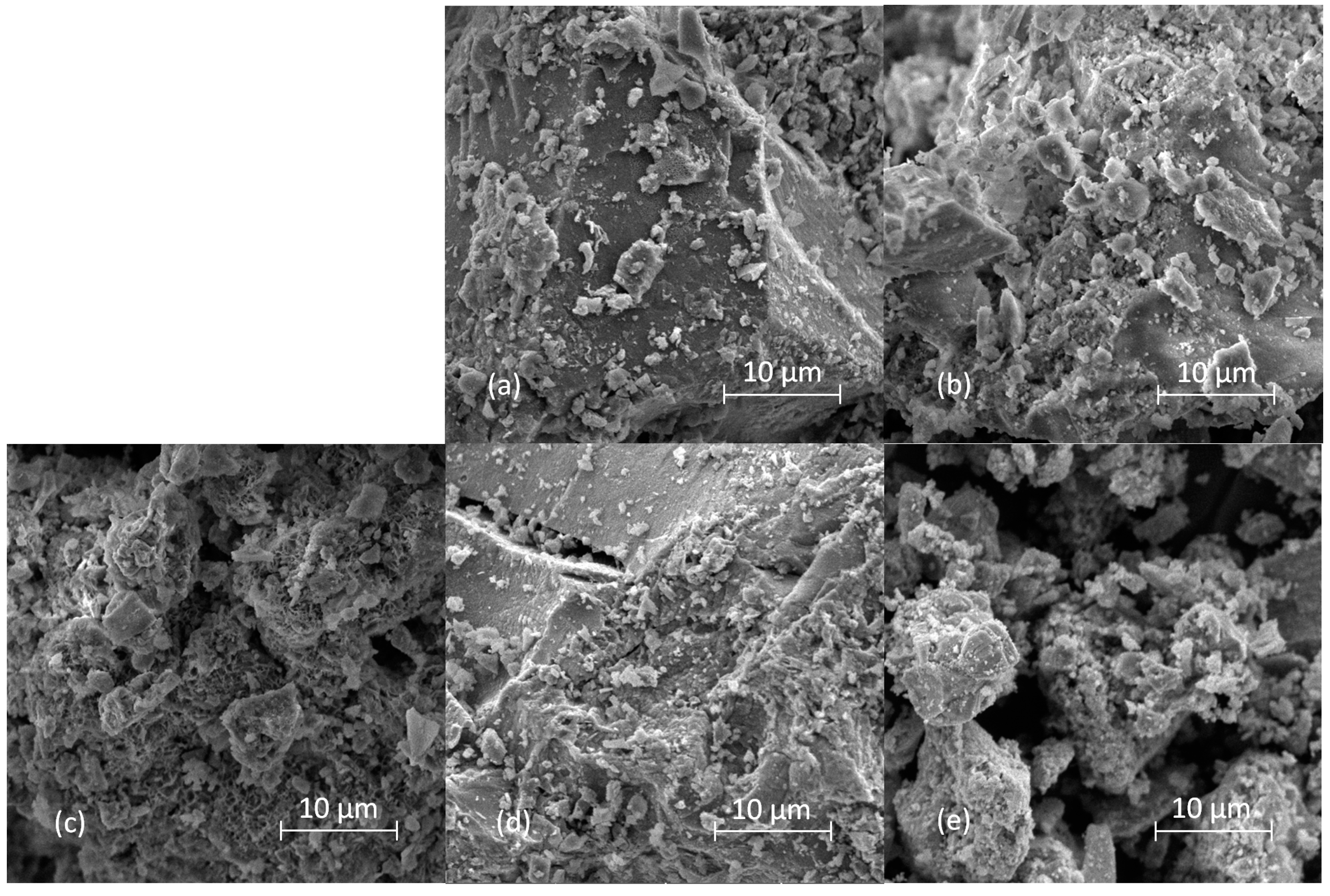 Molecules 29 00965 g008