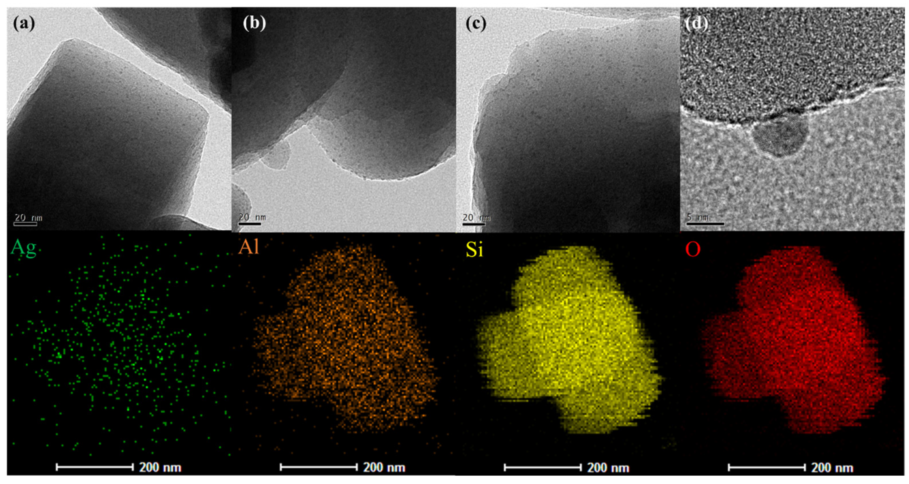Molecules 29 00981 g003