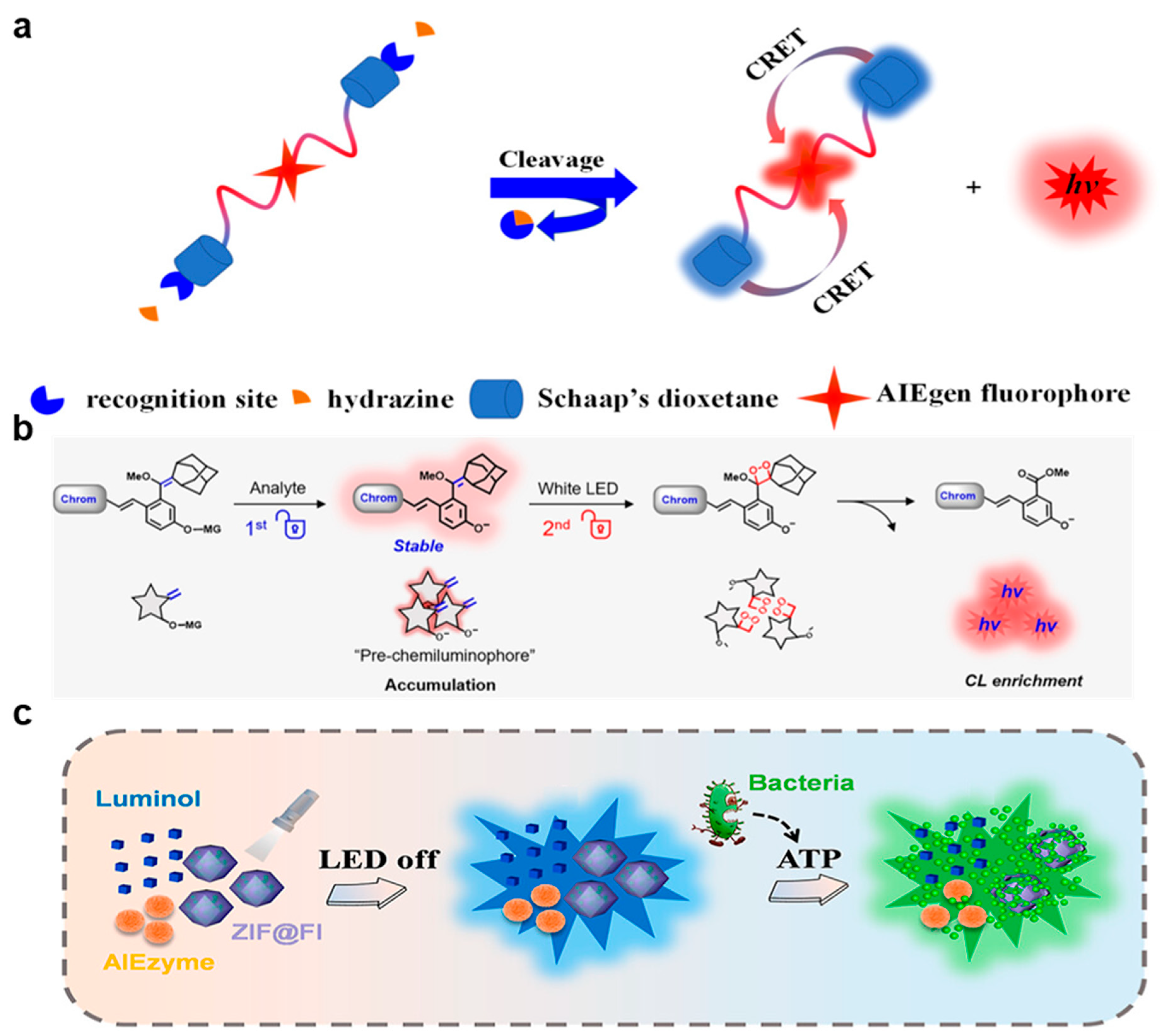 Molecules 29 00983 g004