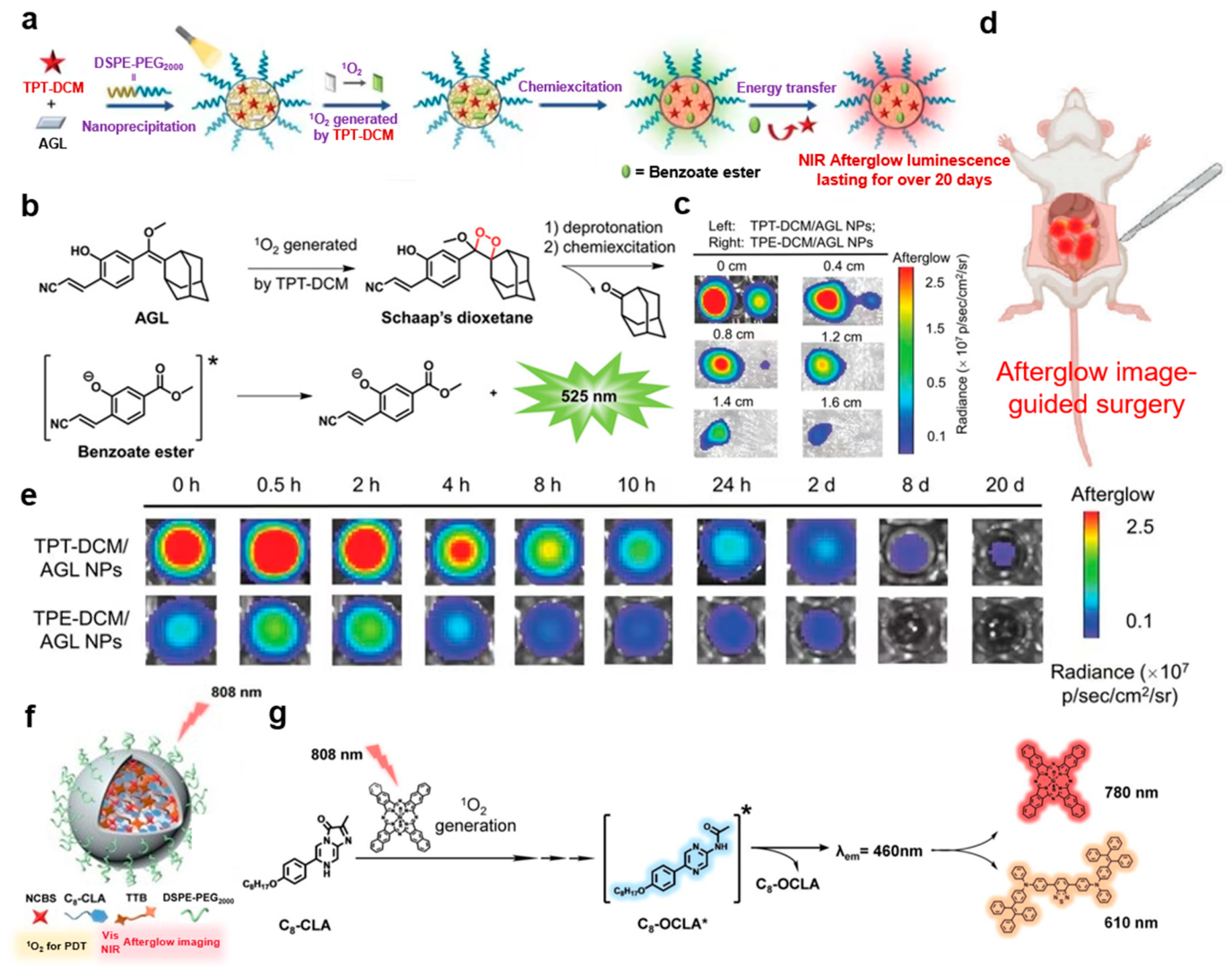 Molecules 29 00983 g005