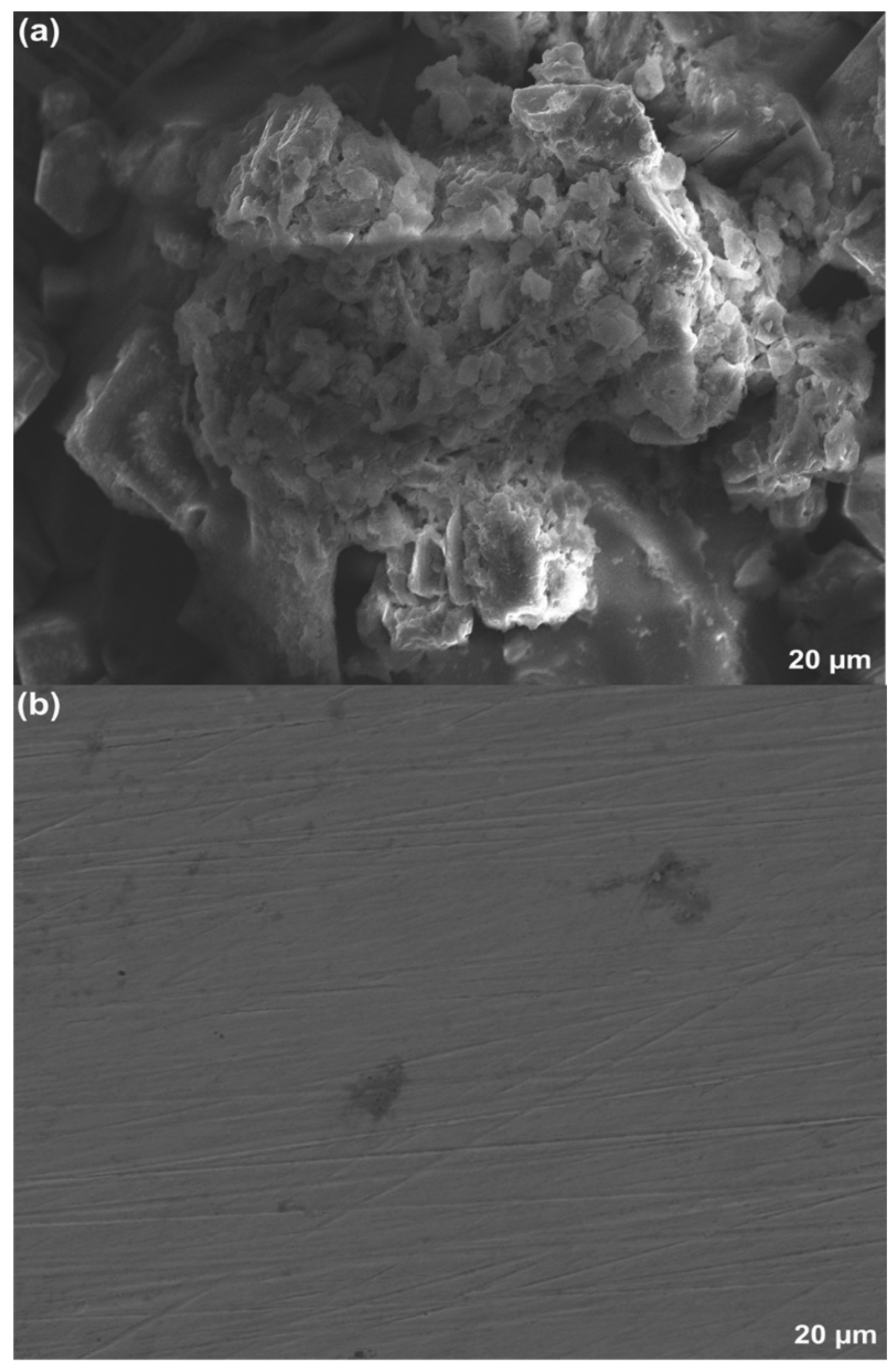 Molecules 29 00985 g006