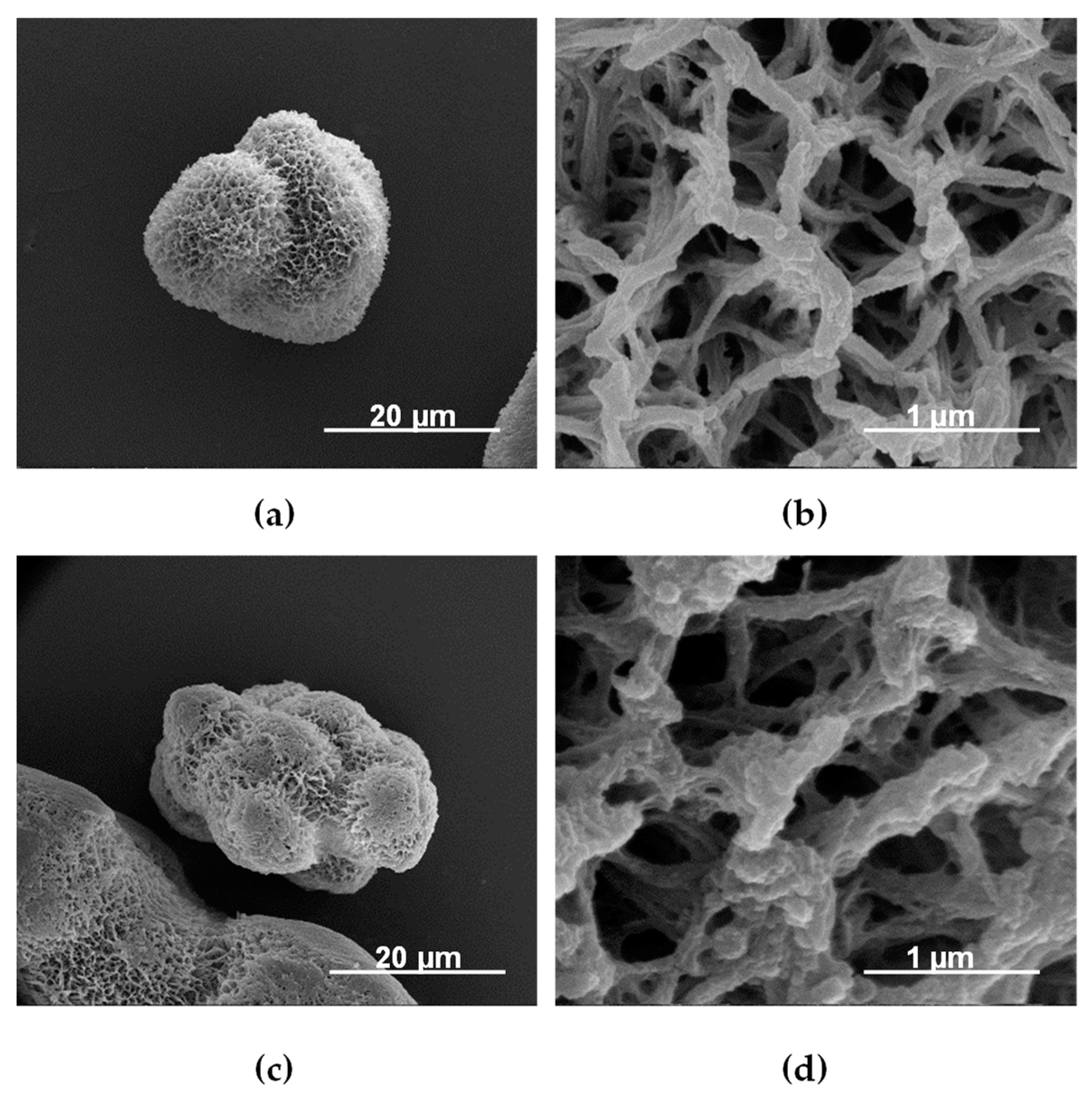 Molecules 29 00989 g003 Molecules 29 00989 g003