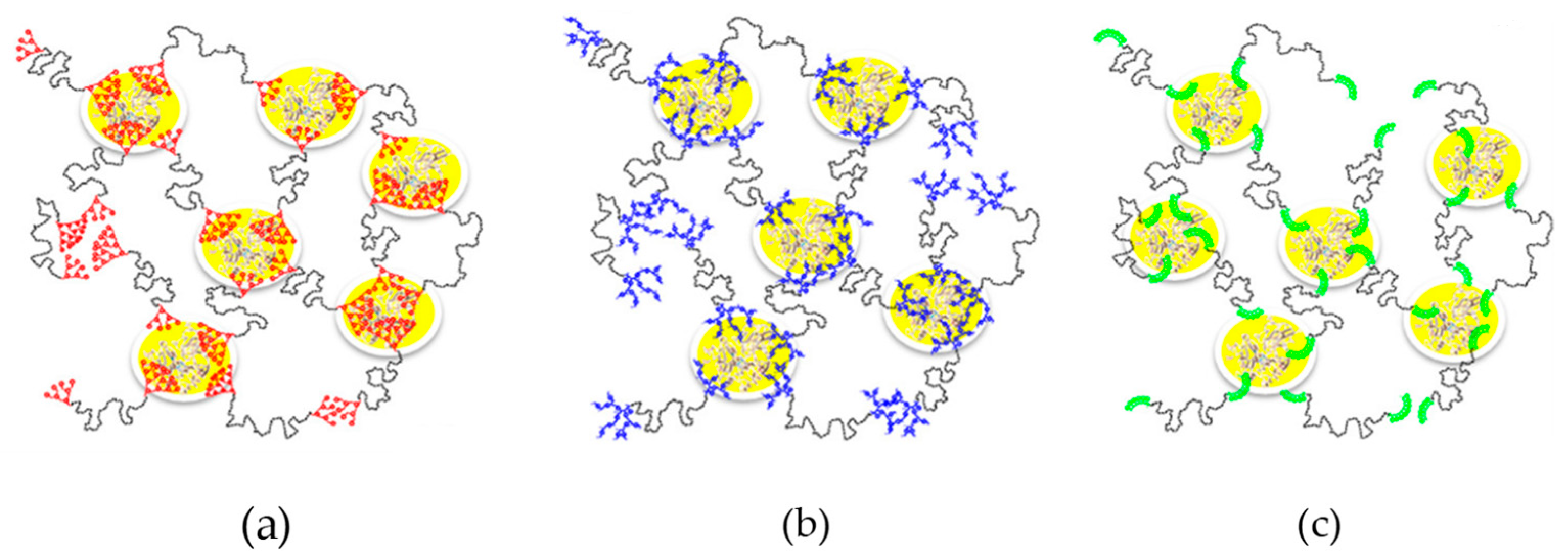 Molecules 29 00989 g004 Molecules 29 00989 g004
