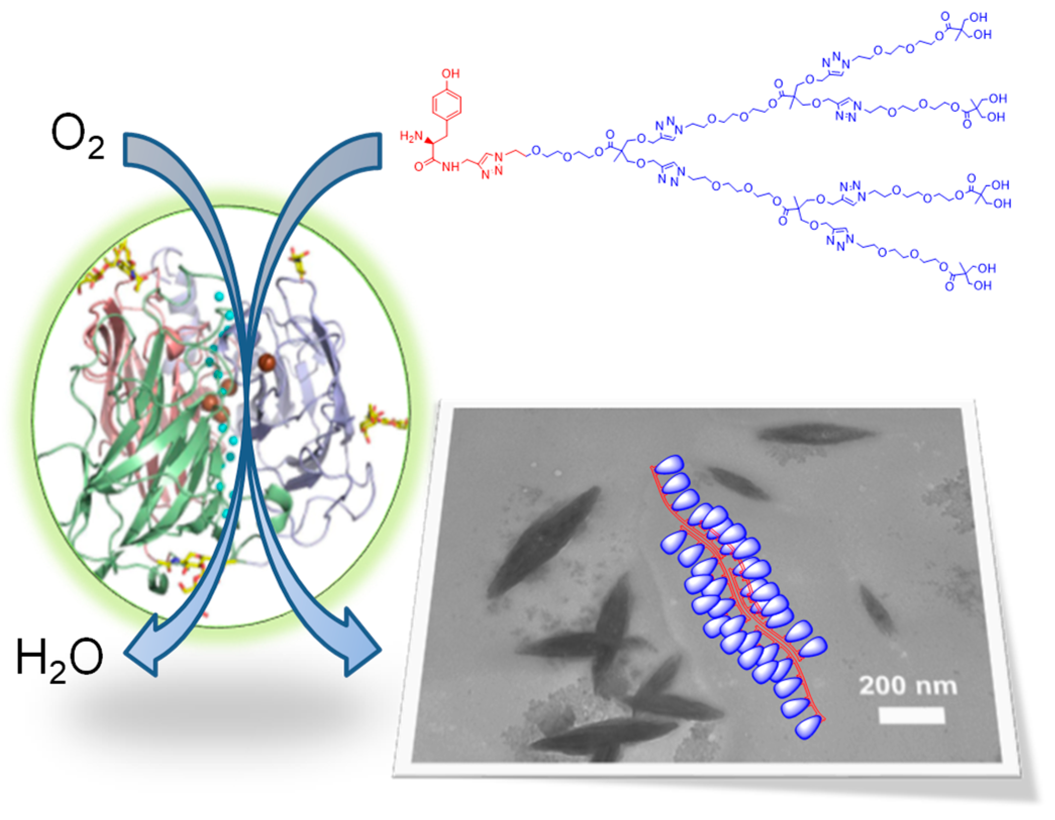 Molecules 29 00989 g009 Molecules 29 00989 g009