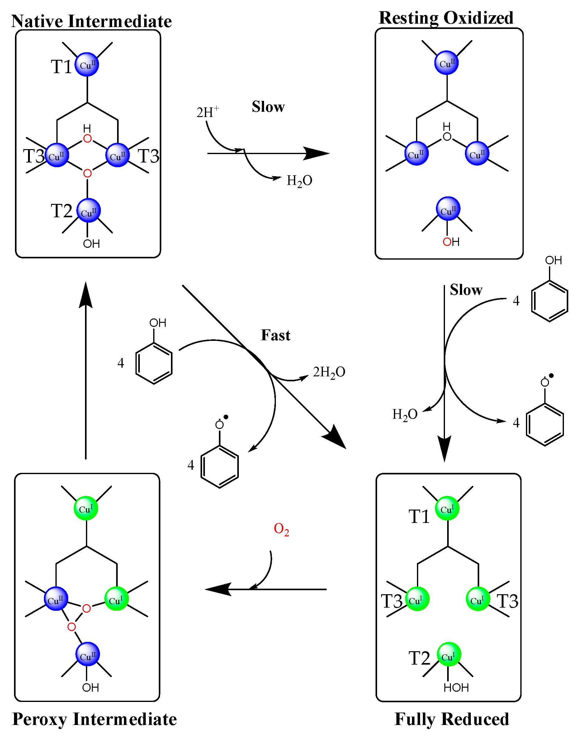 Molecules 29 00989 sch002 Molecules 29 00989 sch002