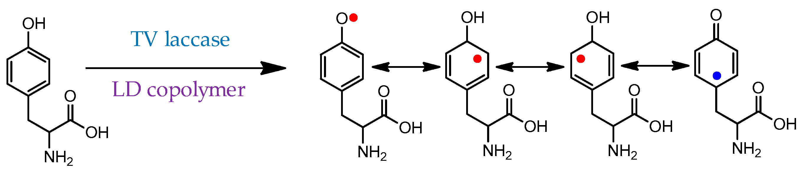 Molecules 29 00989 sch006 Molecules 29 00989 sch006
