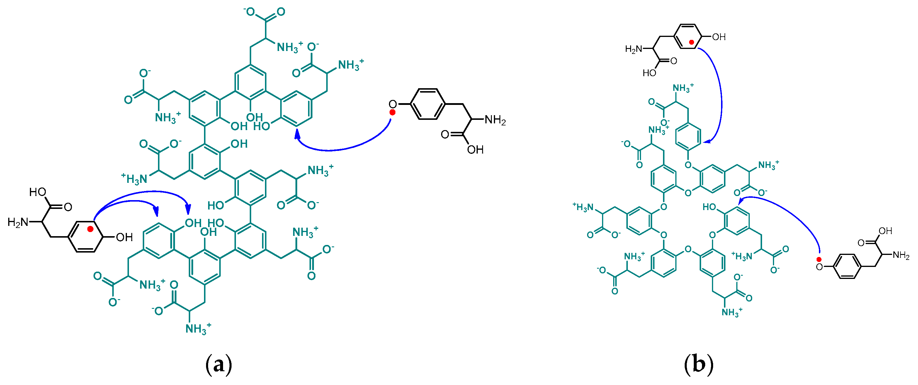 Molecules 29 00989 sch007 Molecules 29 00989 sch007