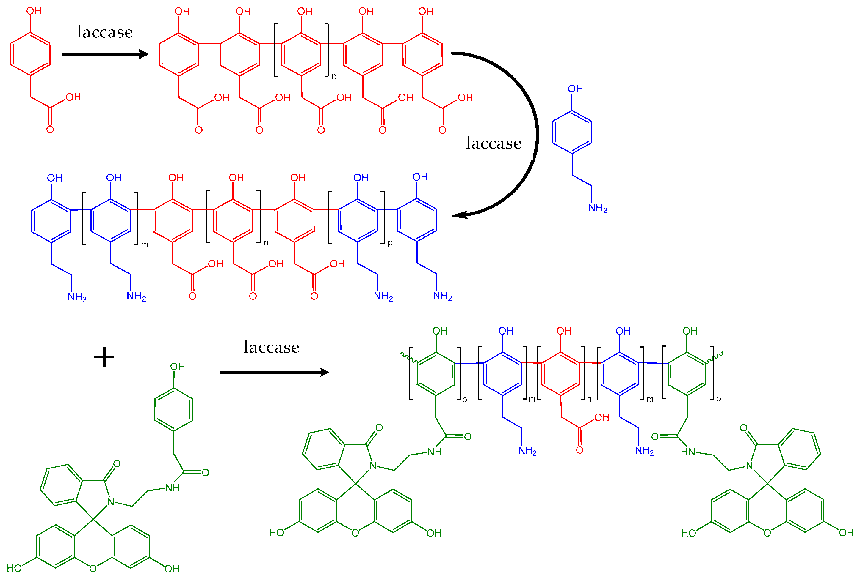 Molecules 29 00989 sch008 Molecules 29 00989 sch008