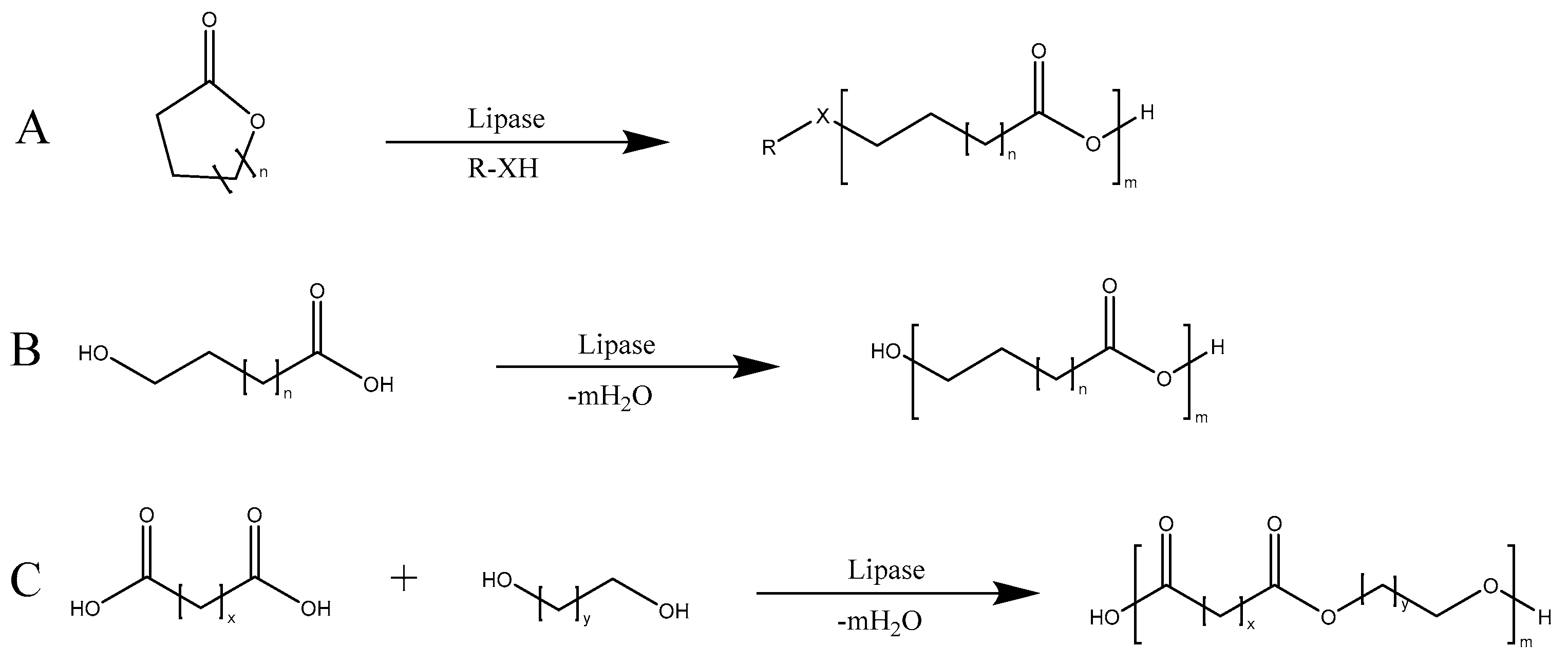 Molecules 29 00989 sch010 Molecules 29 00989 sch010