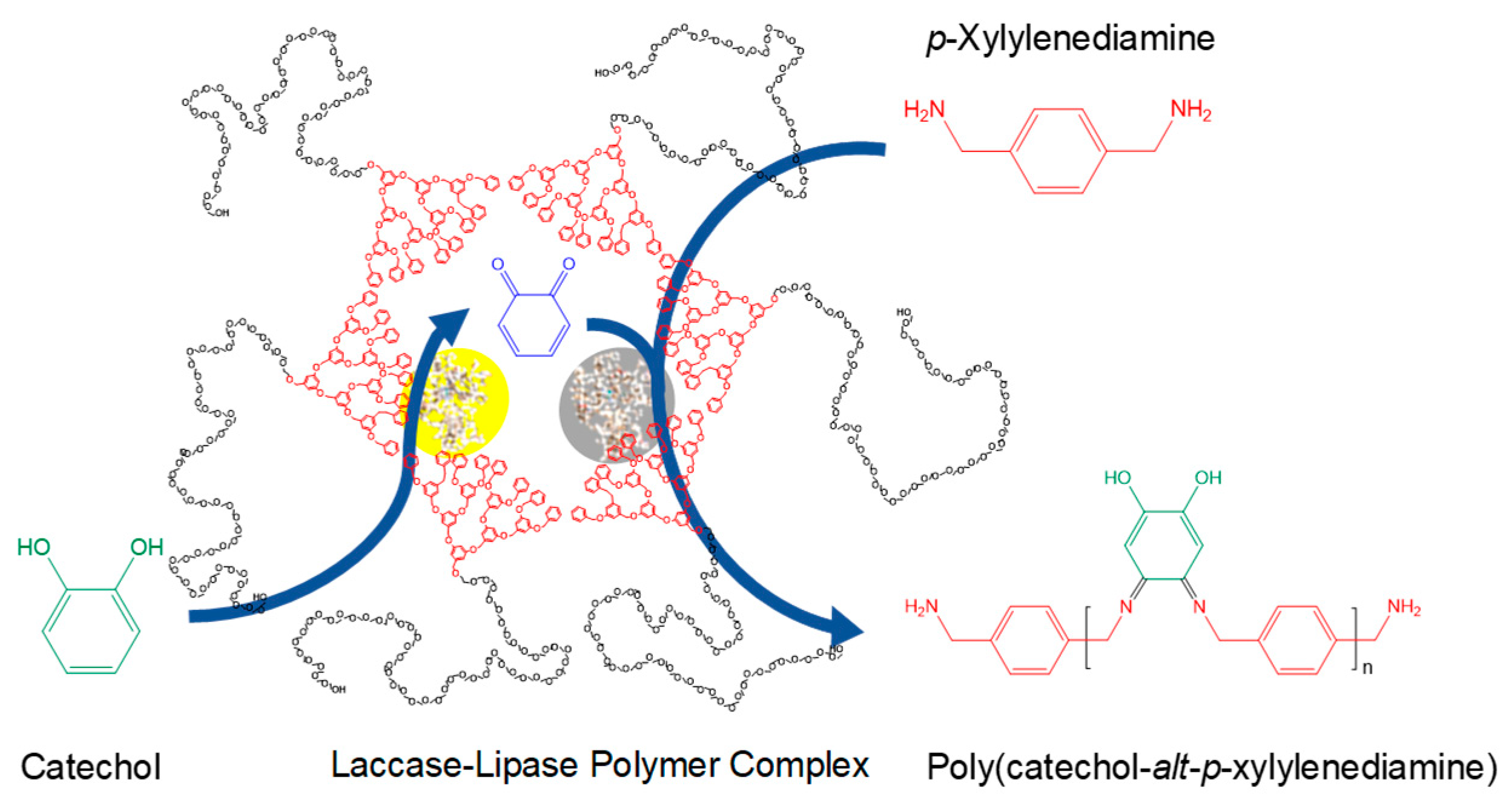 Molecules 29 00989 sch011 Molecules 29 00989 sch011
