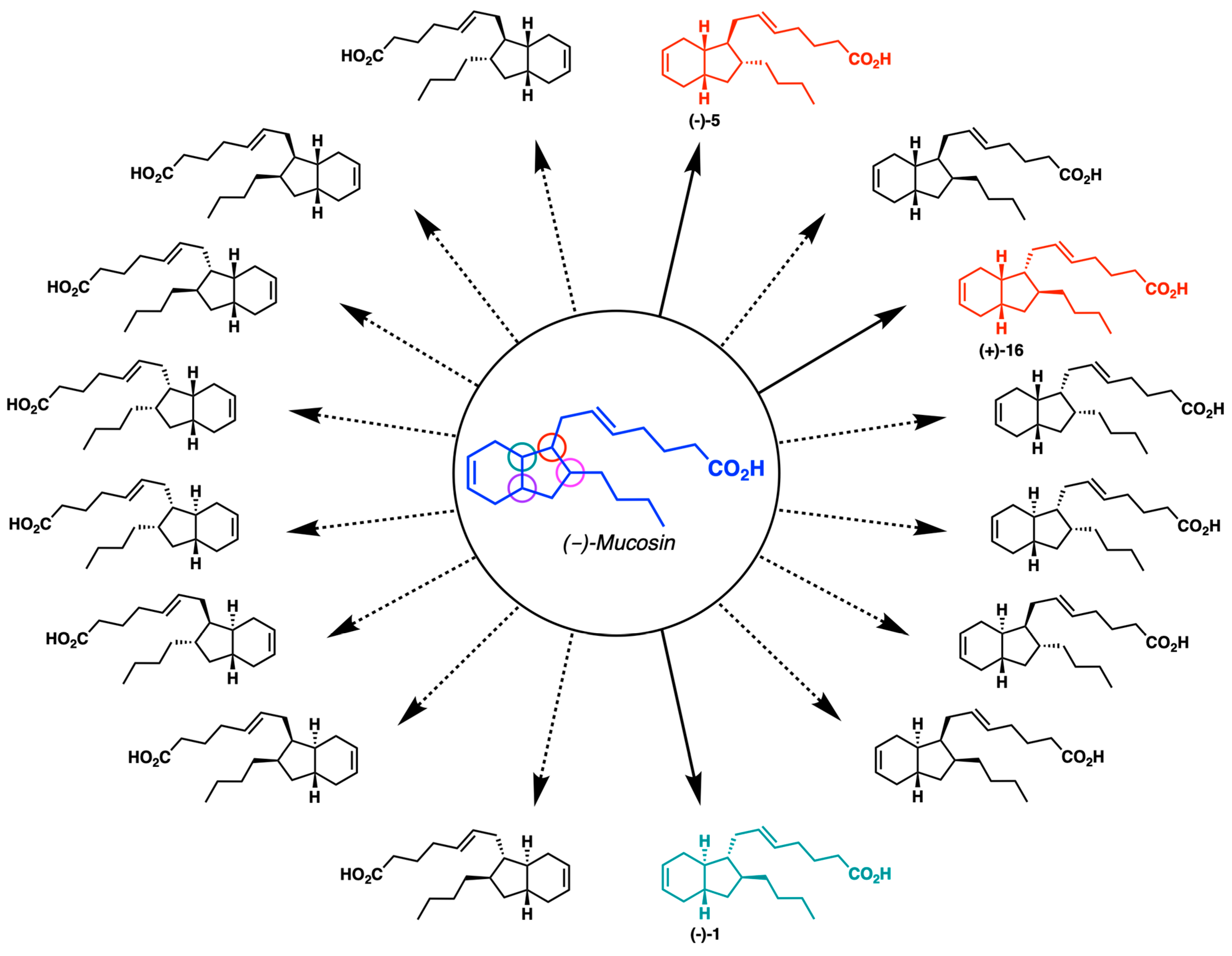 Molecules 29 00994 g003