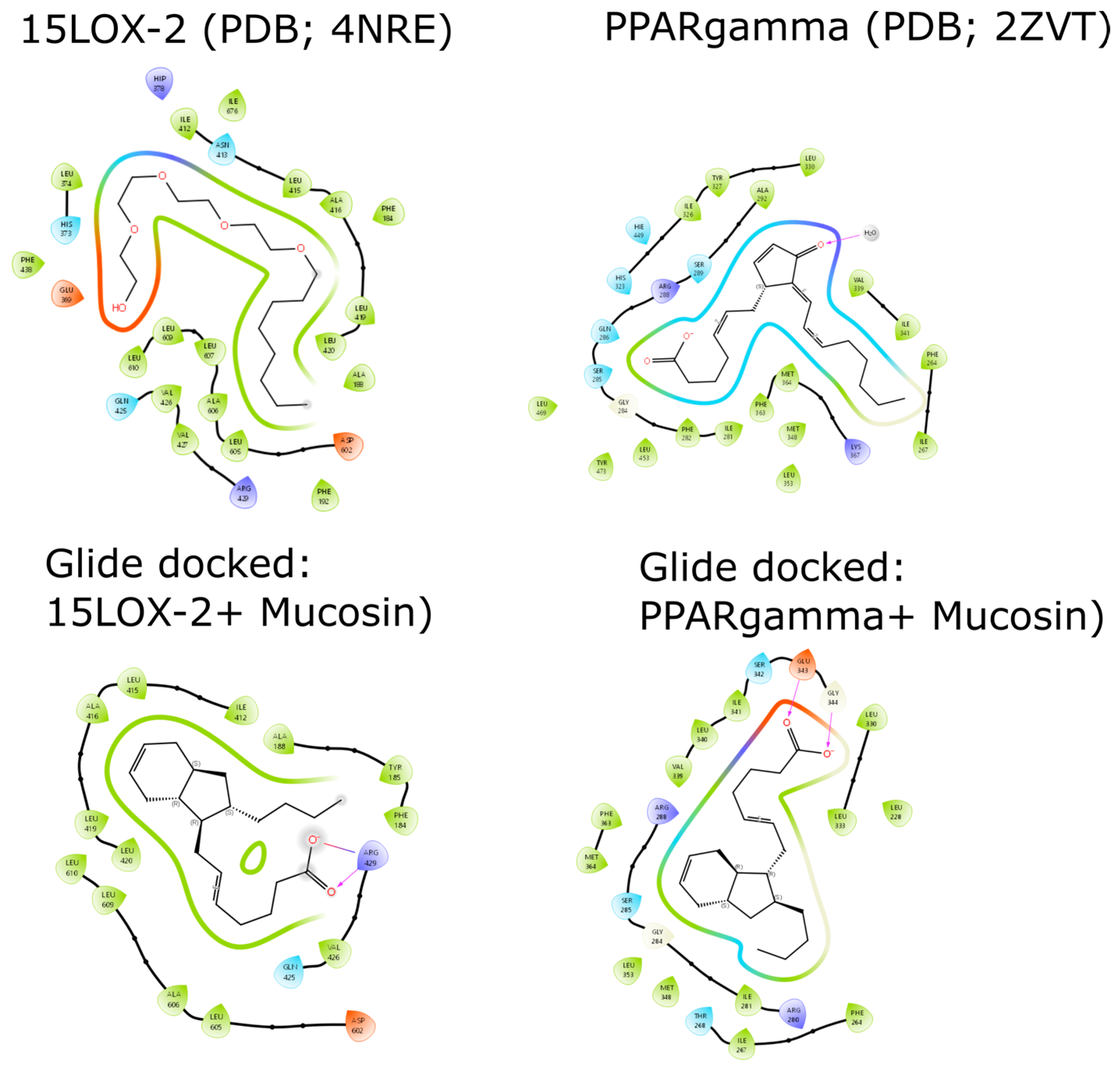 Molecules 29 00994 g006