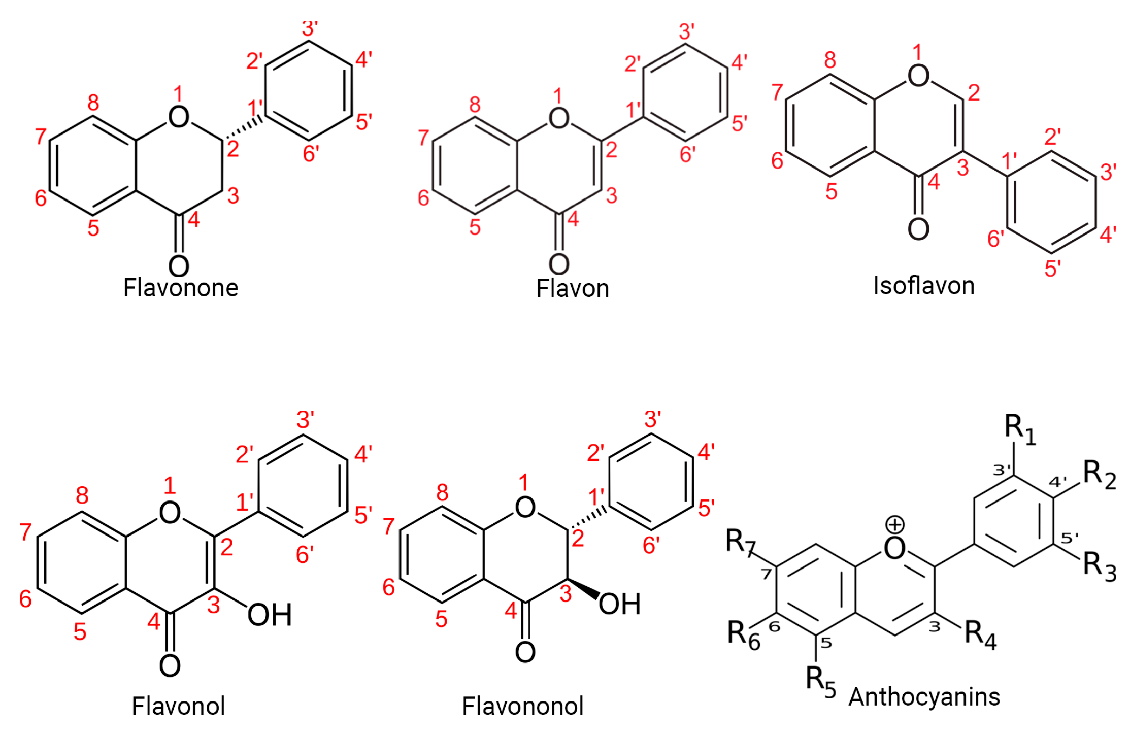 Molecules 29 01000 g001 Molecules 29 01000 g001