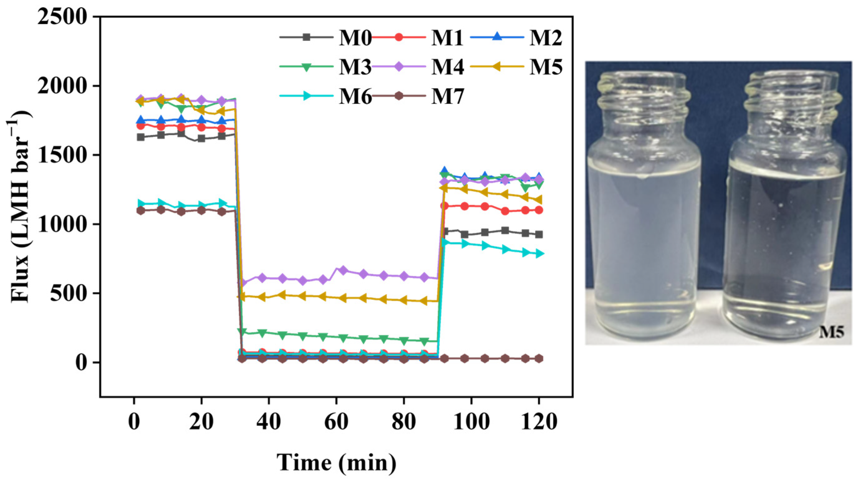 Molecules 29 01001 g006