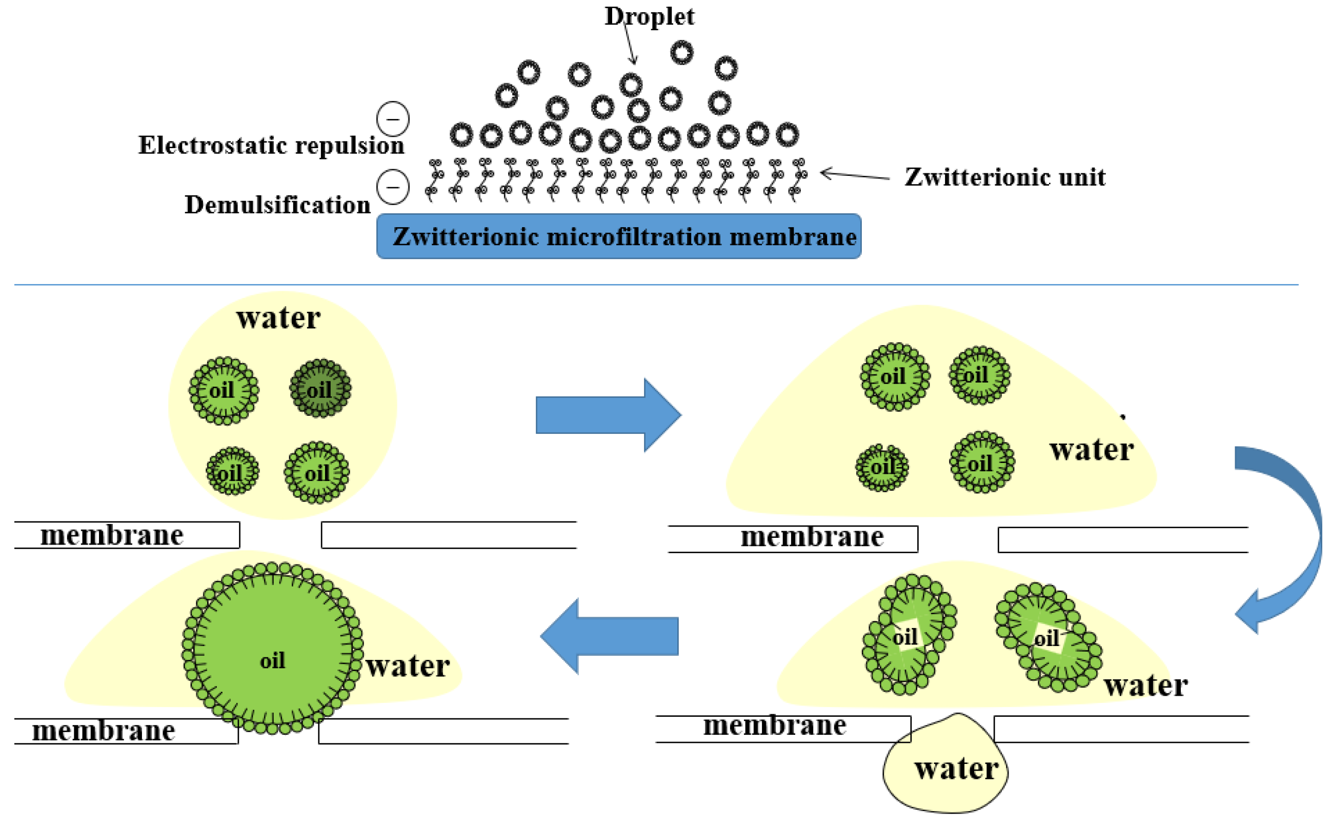 Molecules 29 01001 g008