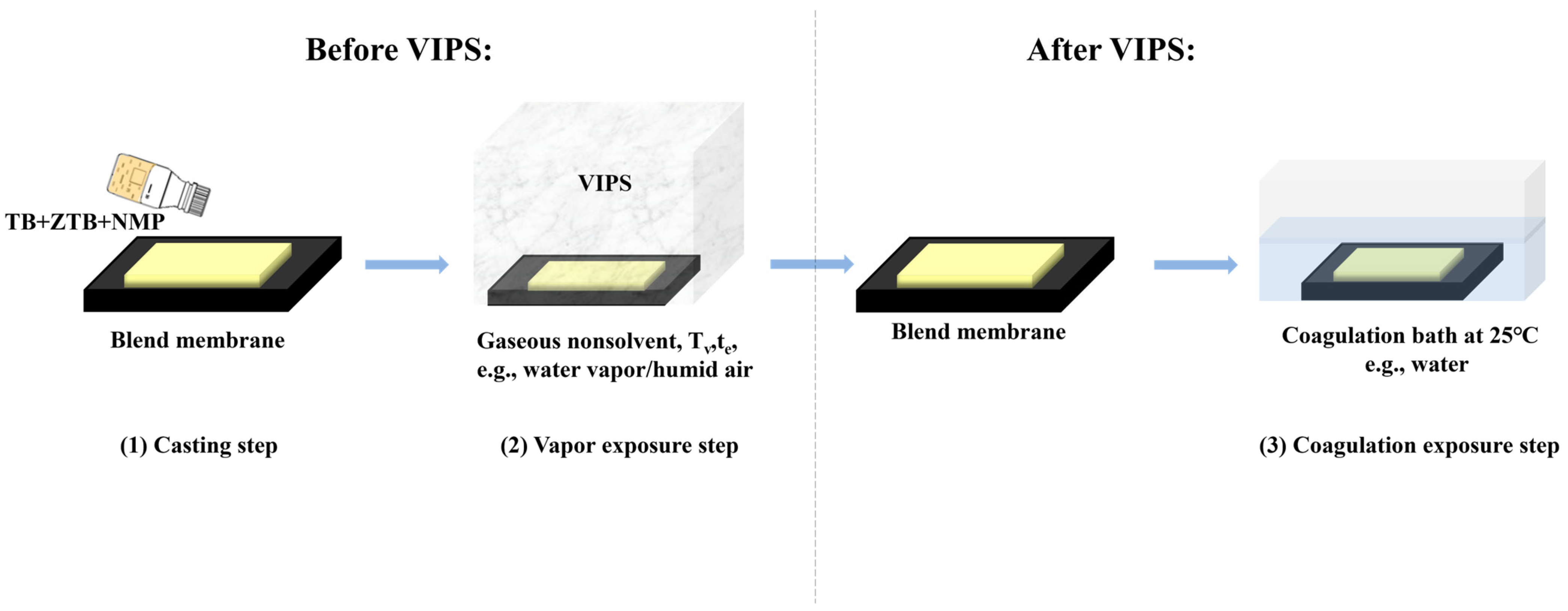 Molecules 29 01001 g009